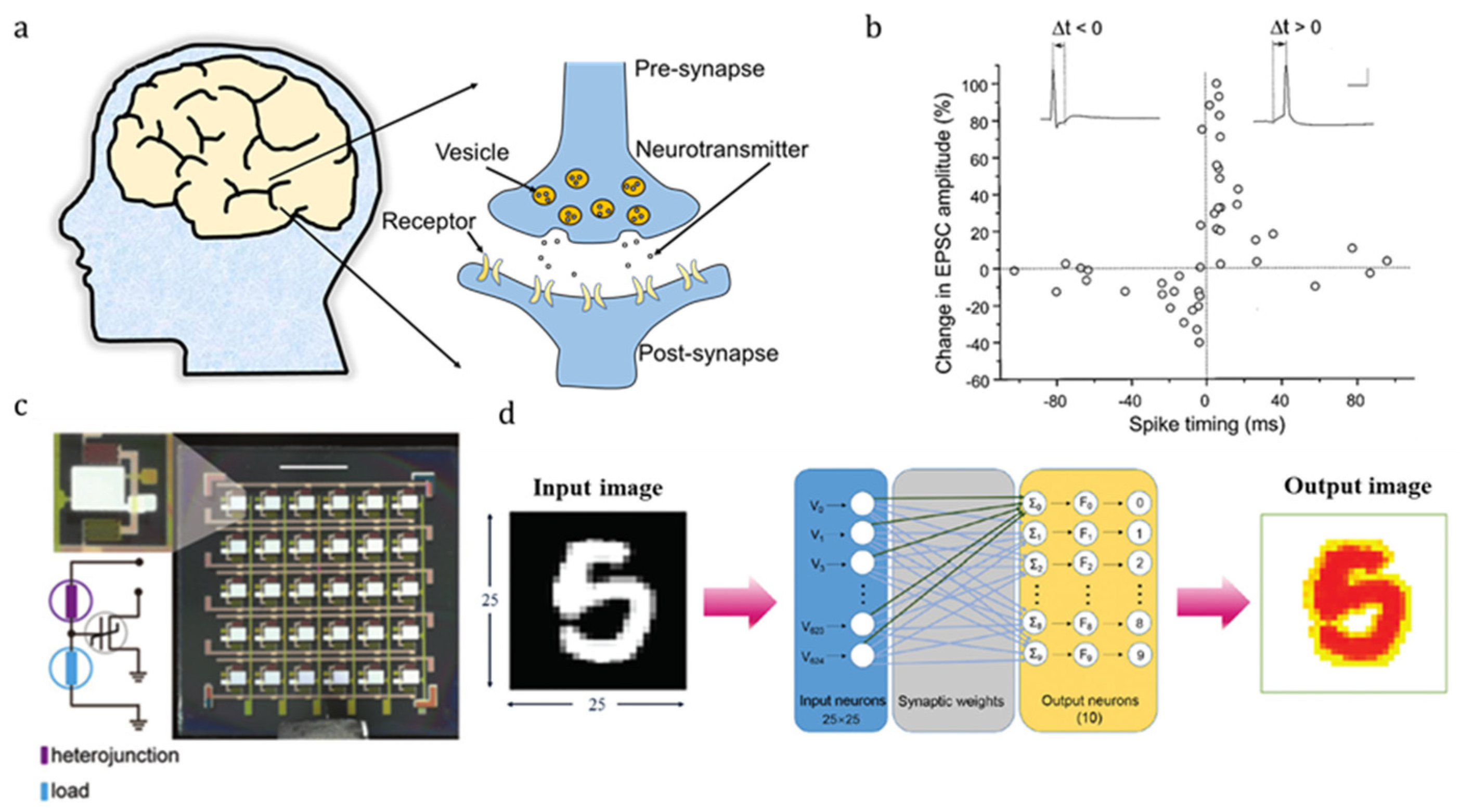 Crystals 14 00069 g001