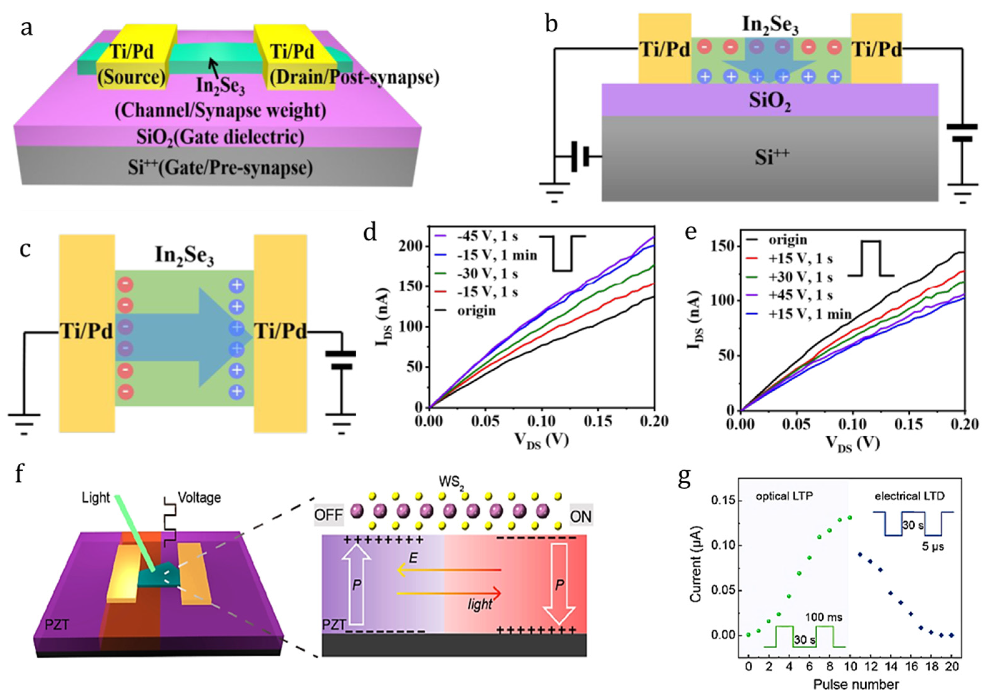 Crystals 14 00069 g005