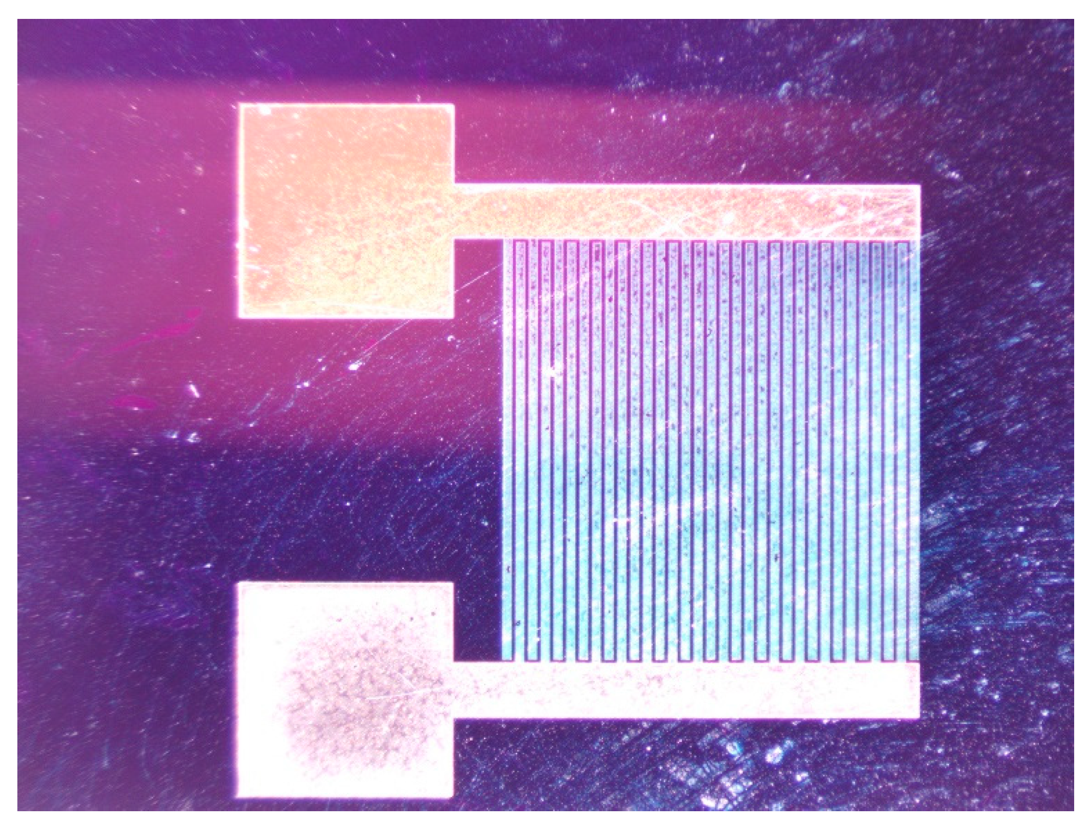 Crystals 14 00082 g002