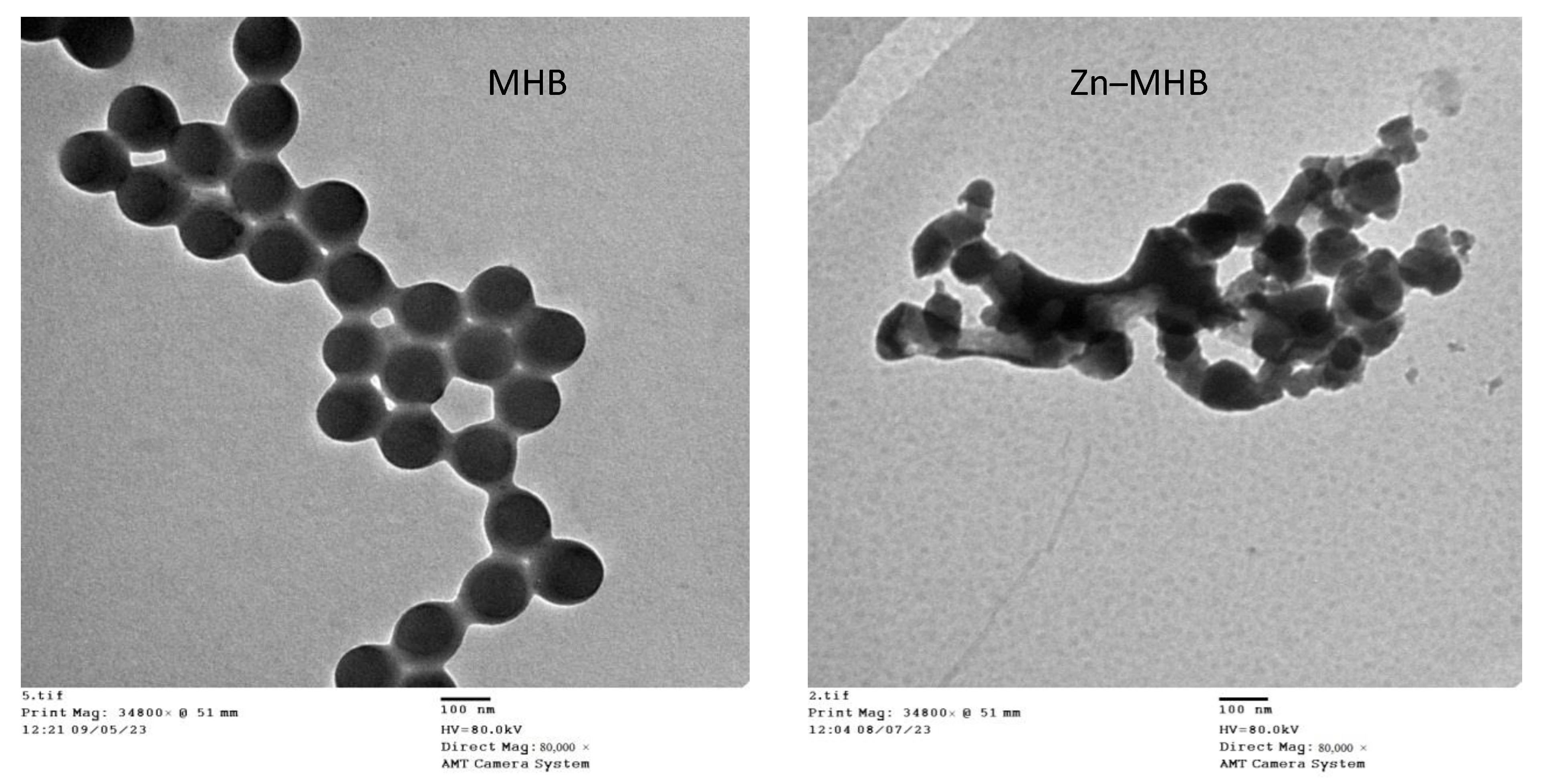 Crystals 14 00088 g008