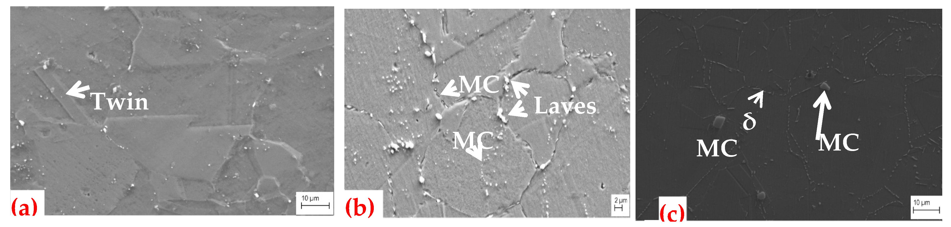 Crystals 14 00089 g004