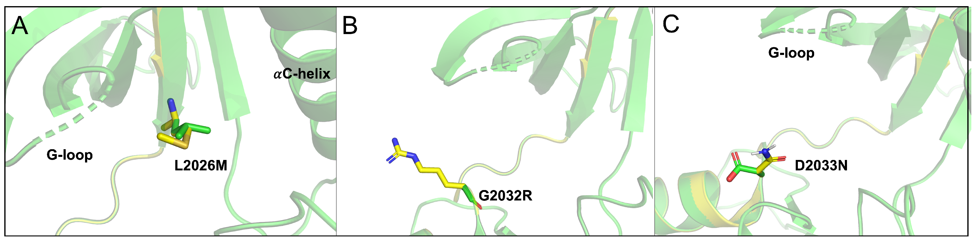 Crystals 14 00106 g006