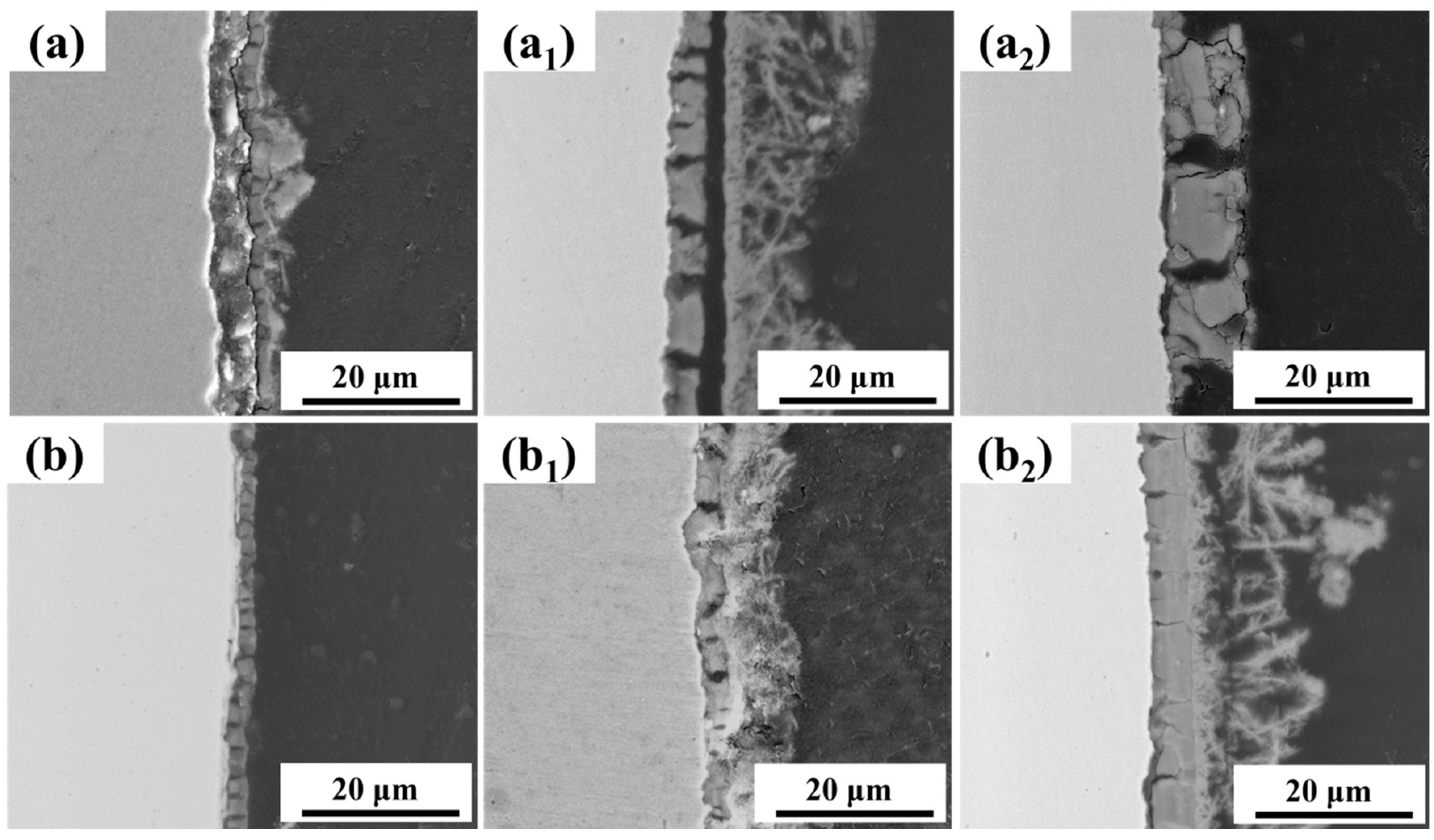 Crystals 14 00113 g006