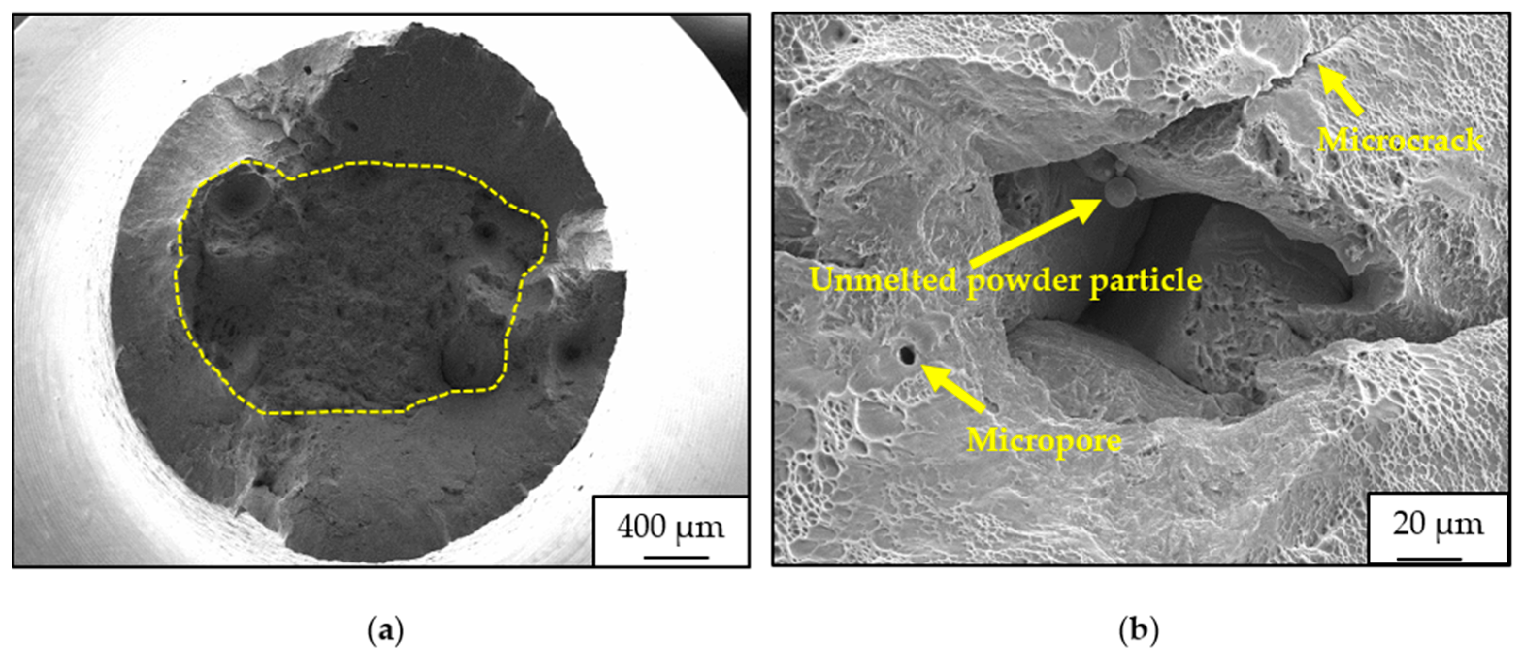 Crystals 14 00117 g006 Crystals 14 00117 g006
