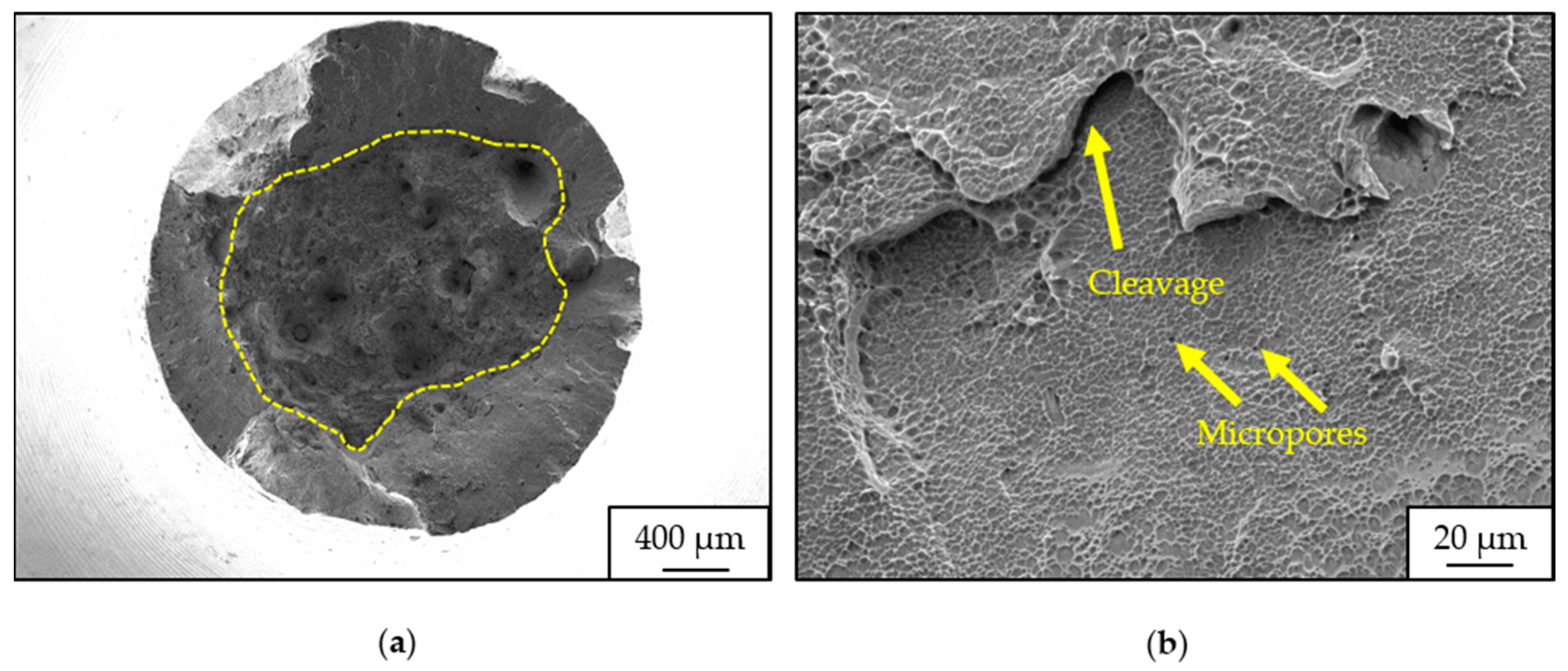 Crystals 14 00117 g007 Crystals 14 00117 g007