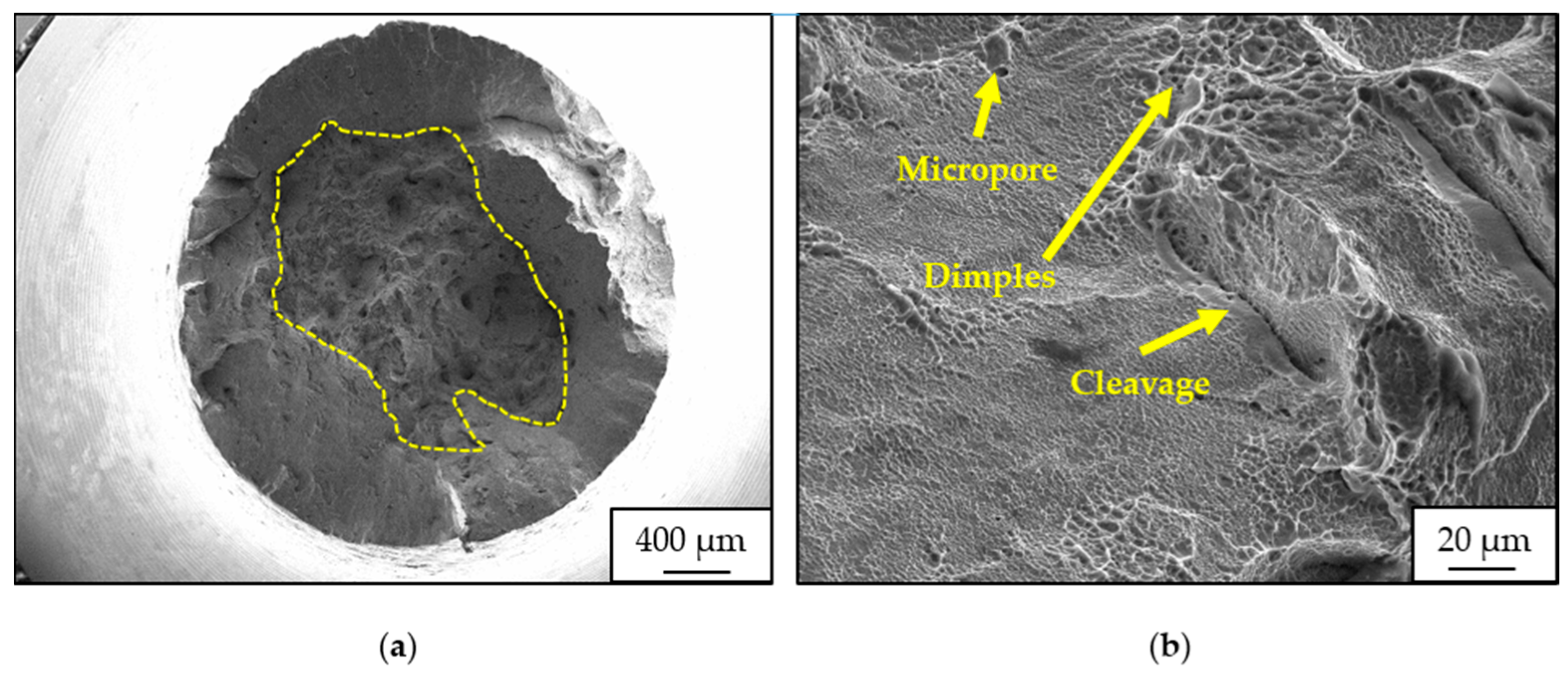 Crystals 14 00117 g008 Crystals 14 00117 g008