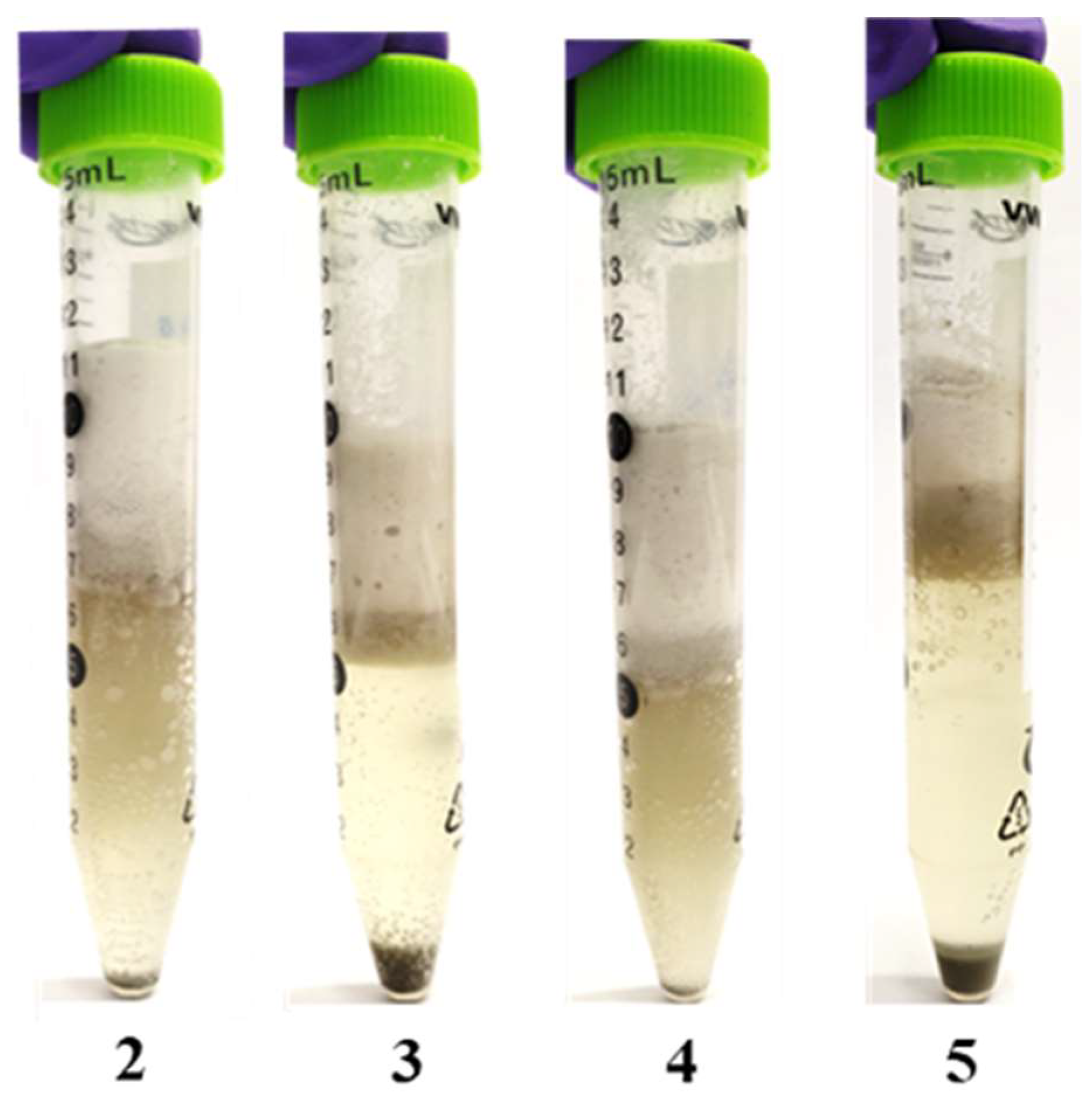 Crystals 14 00127 g003