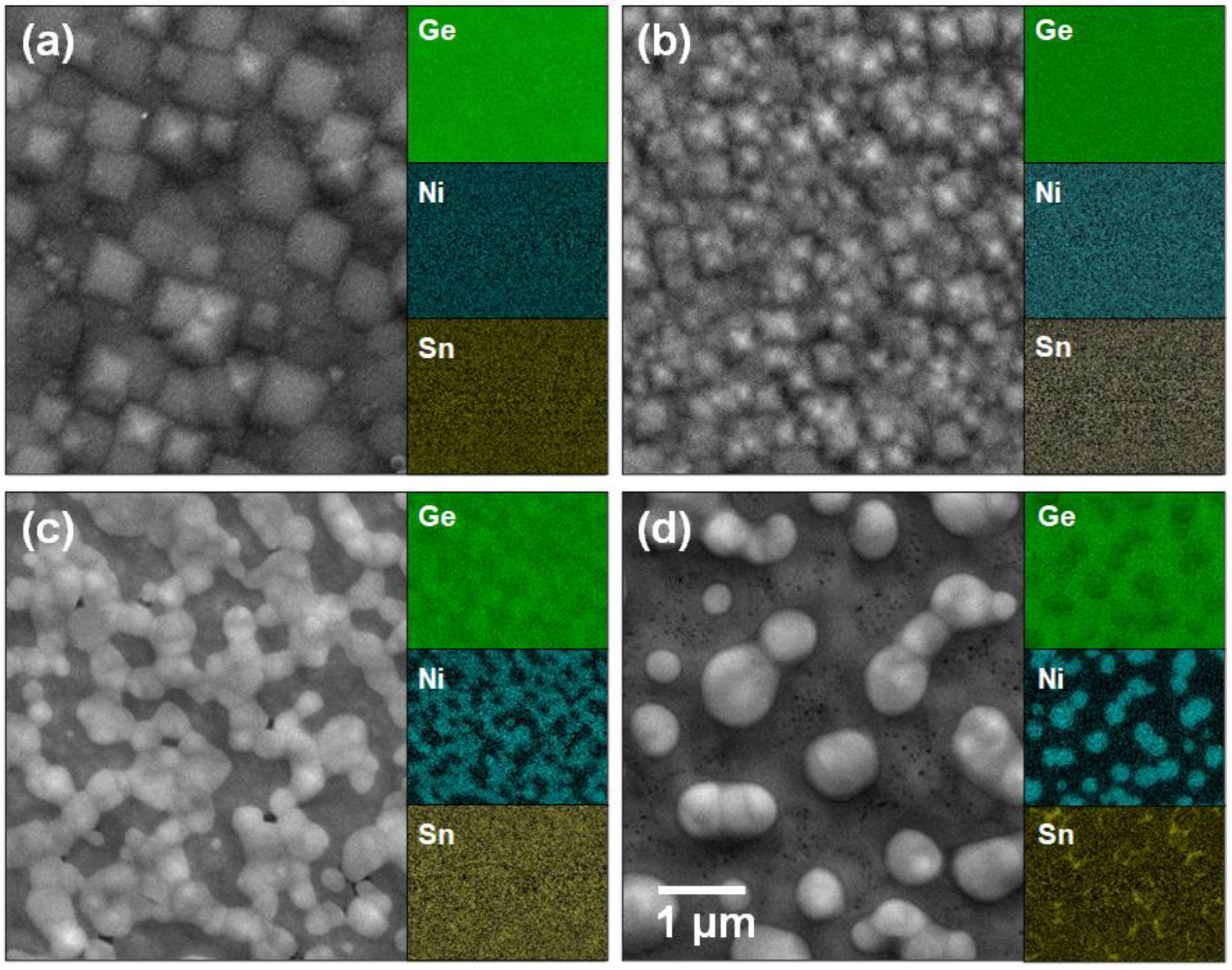 Crystals 14 00134 g003 Crystals 14 00134 g003