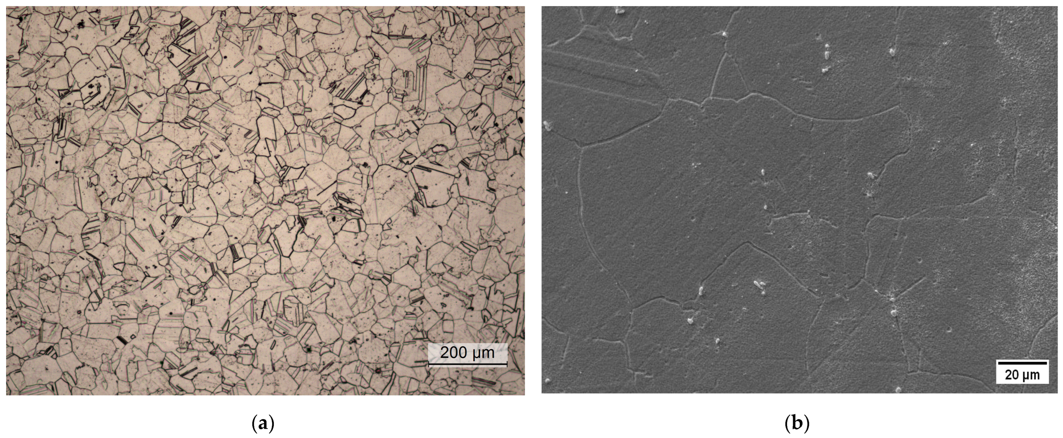 Crystals 14 00139 g002