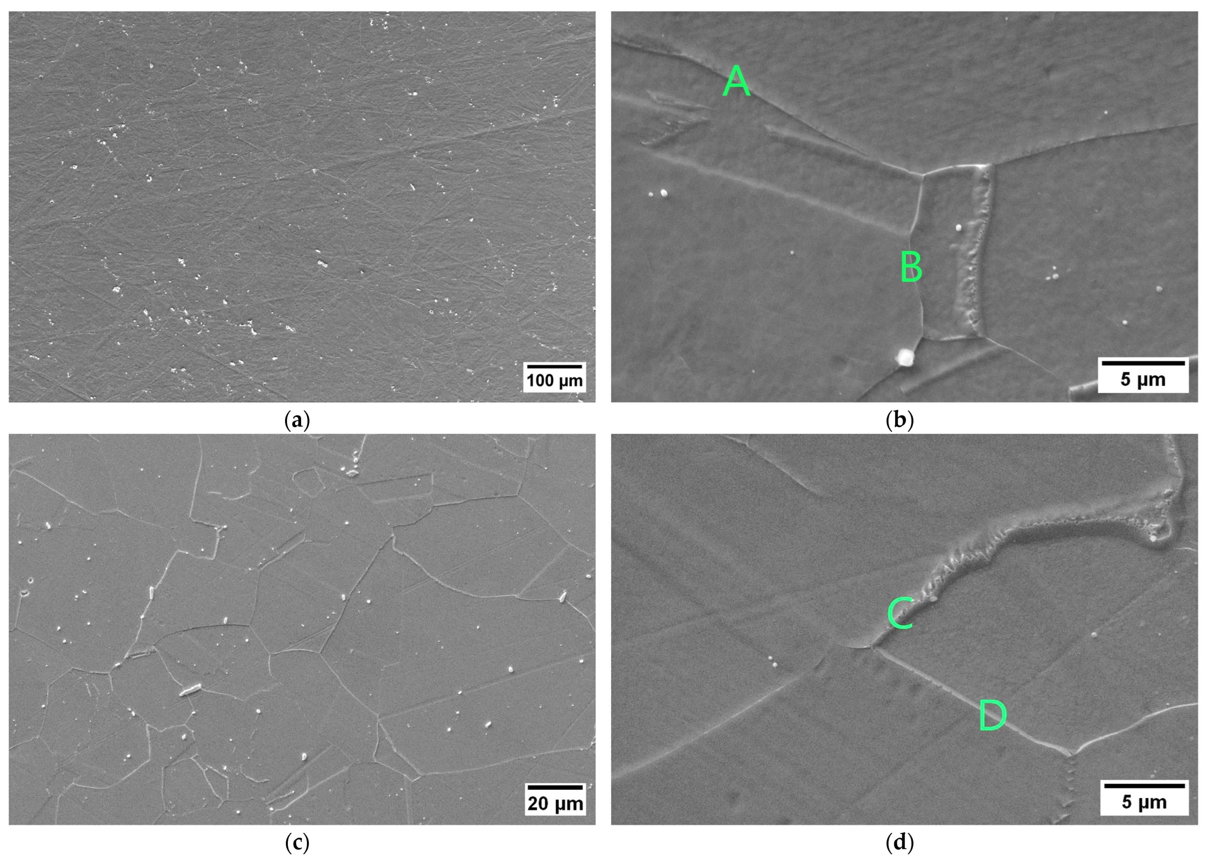 Crystals 14 00139 g013a