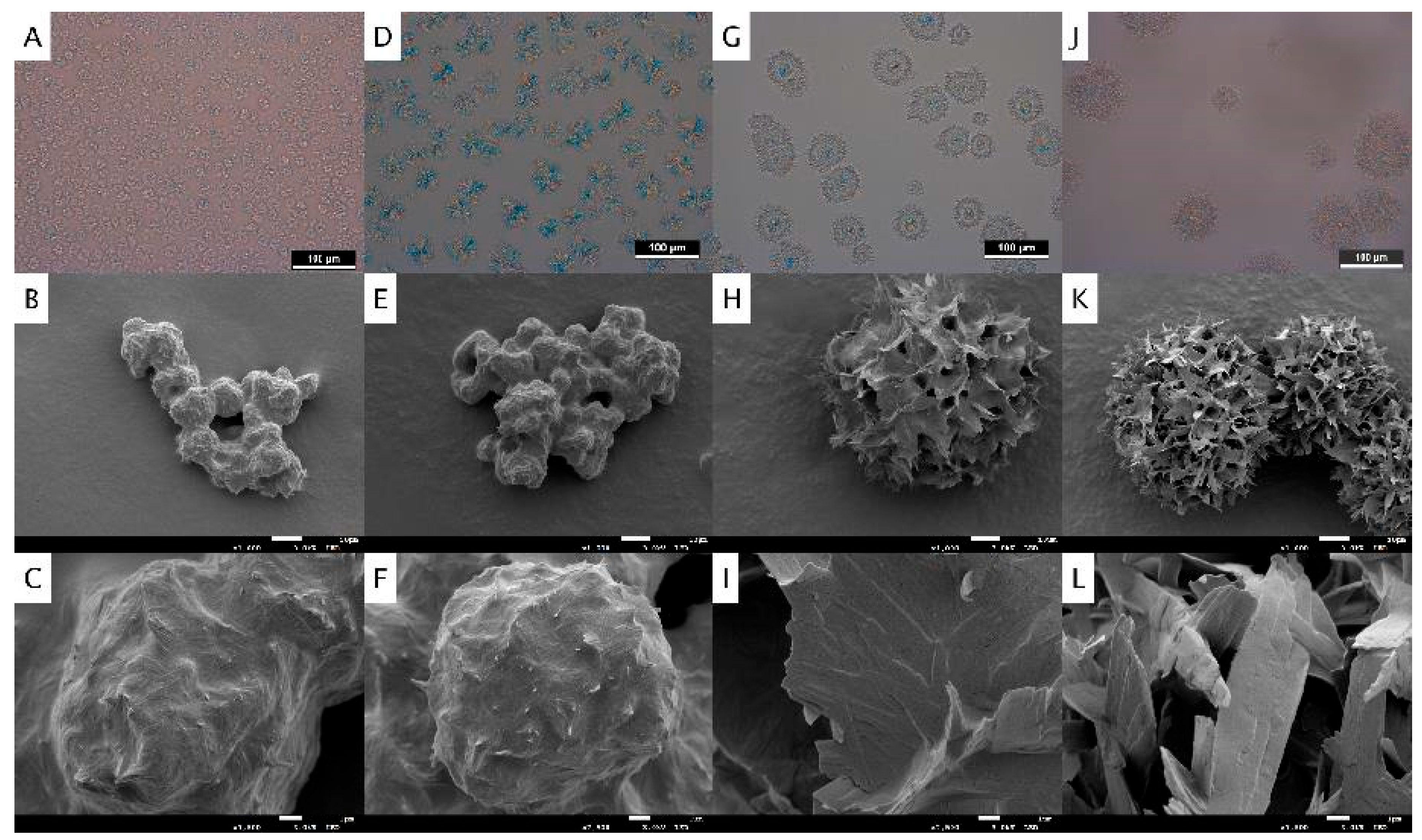 Crystals 14 00142 g001