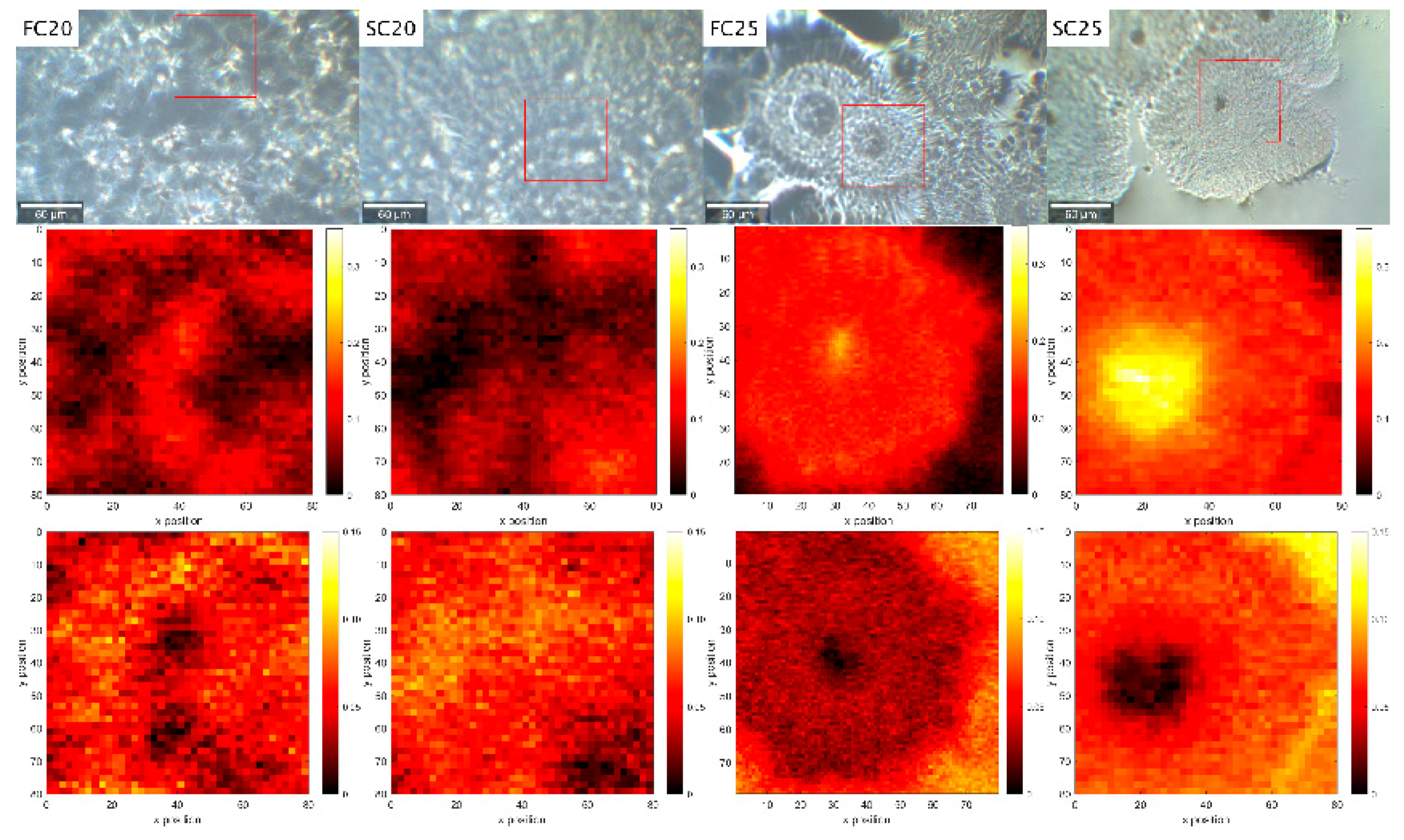 Crystals 14 00142 g002