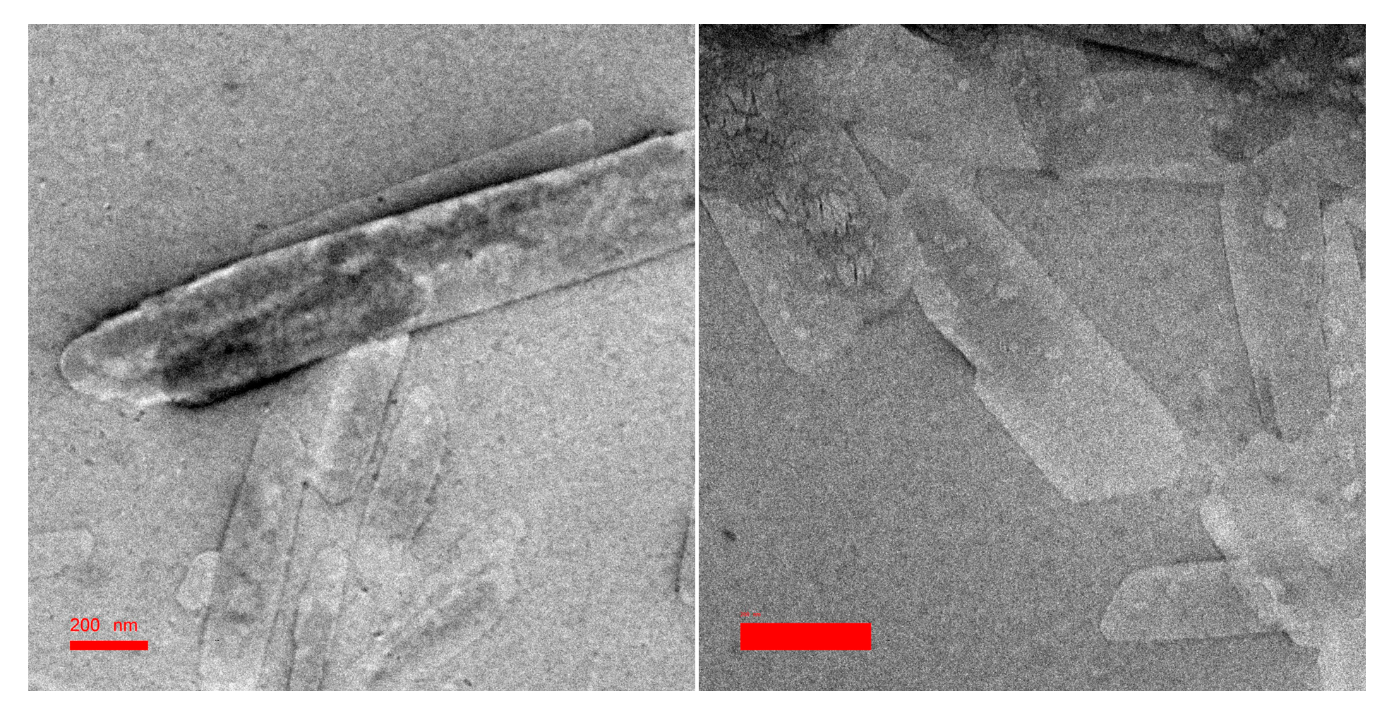 Crystals 14 00142 g004