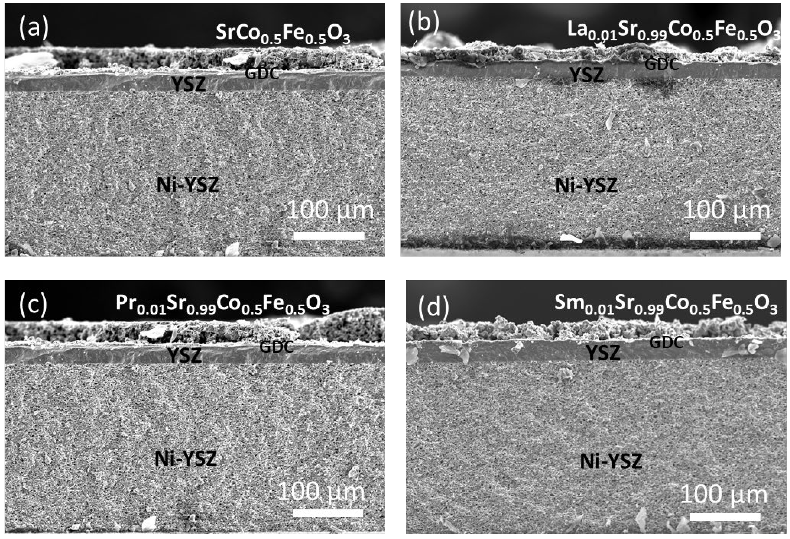 Crystals 14 00143 g004