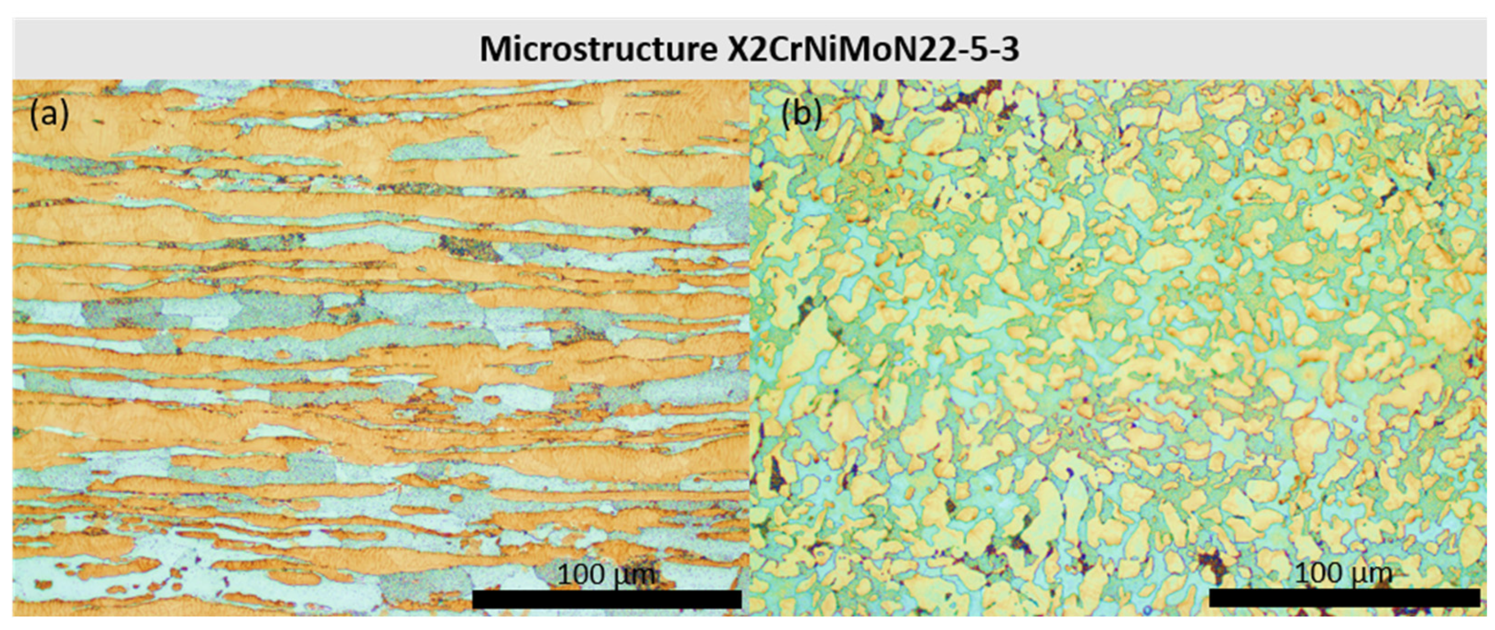 Crystals 14 00206 g001