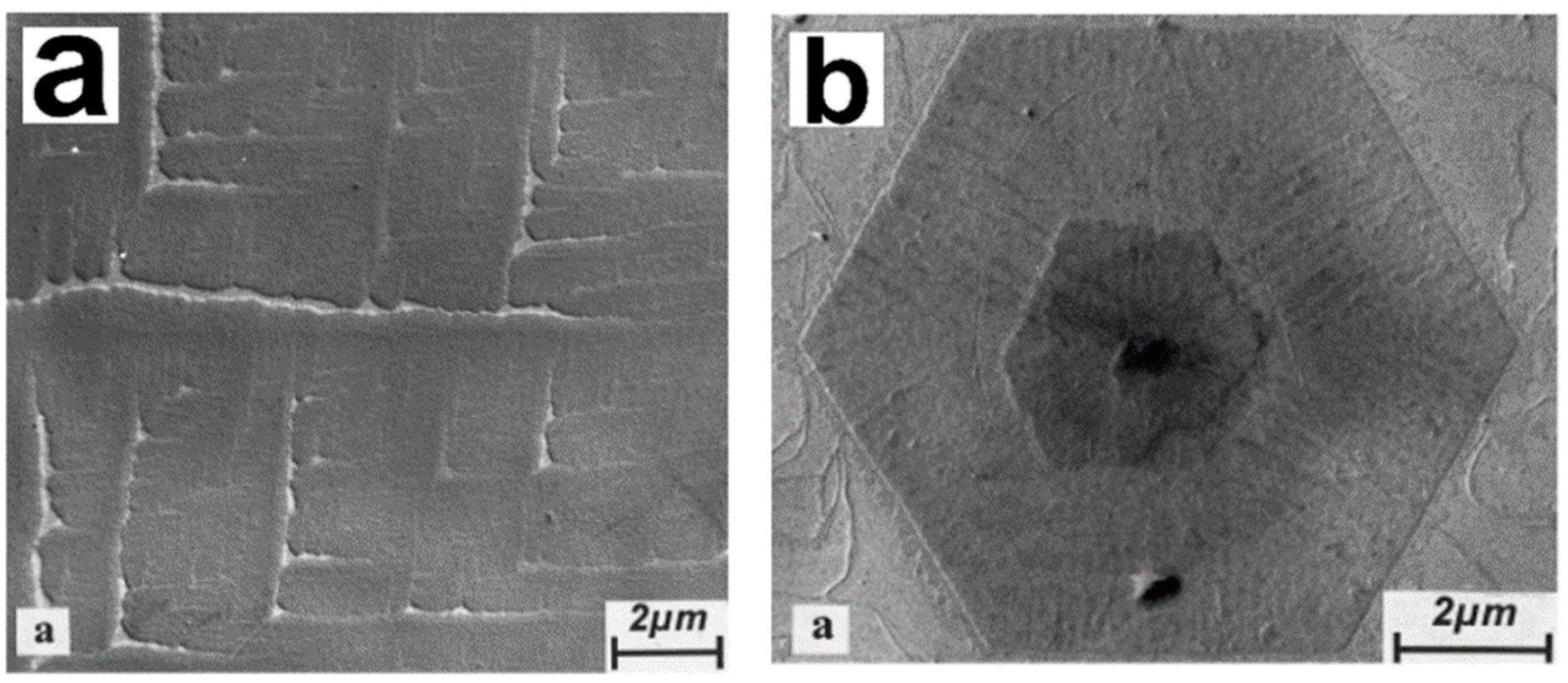 Crystals 14 00207 g004