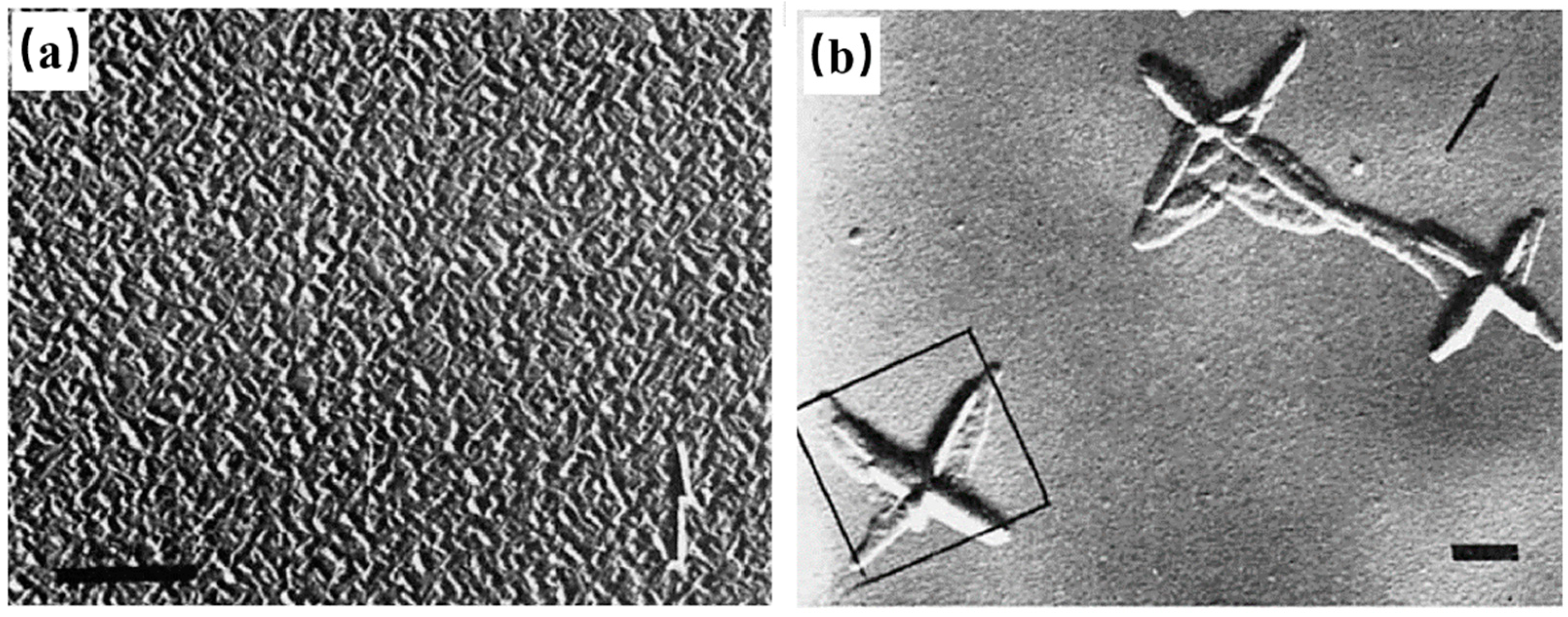 Crystals 14 00207 g005