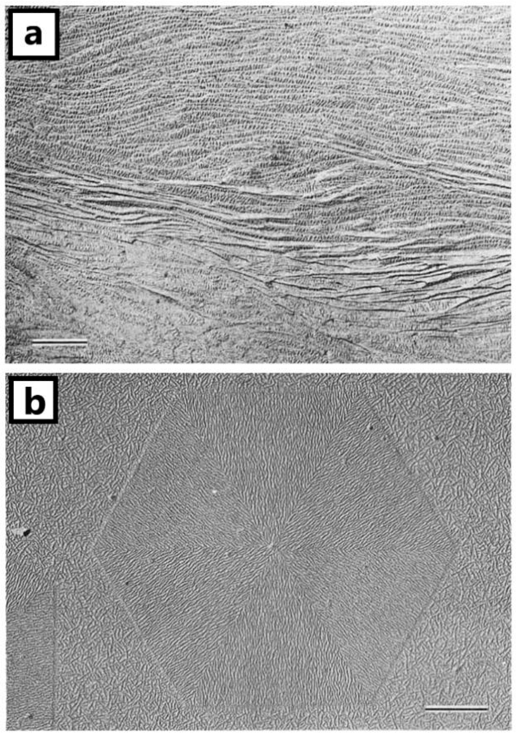 Crystals 14 00207 g007