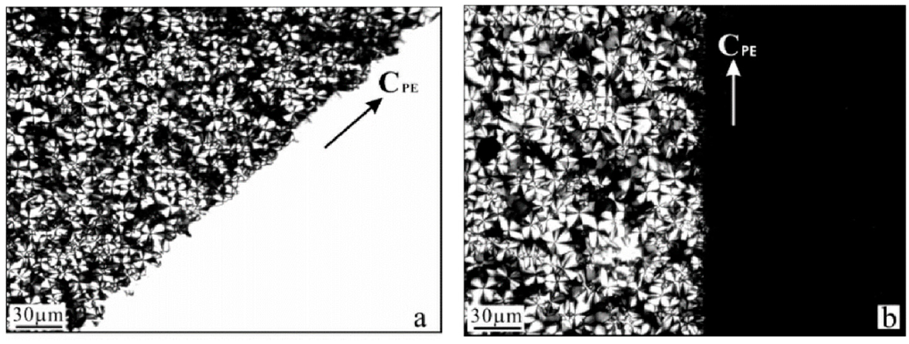 Crystals 14 00207 g008
