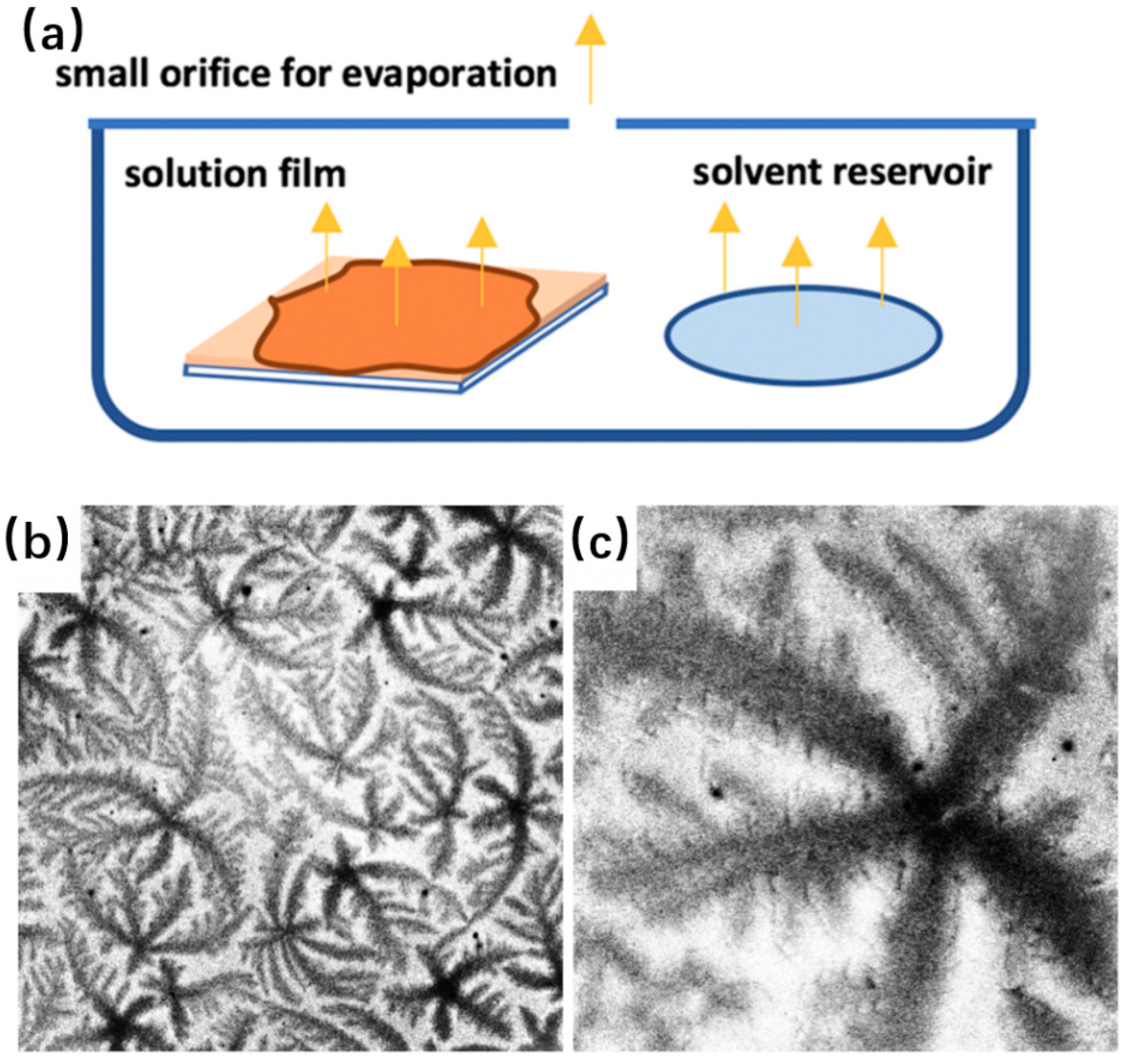 Crystals 14 00207 g010