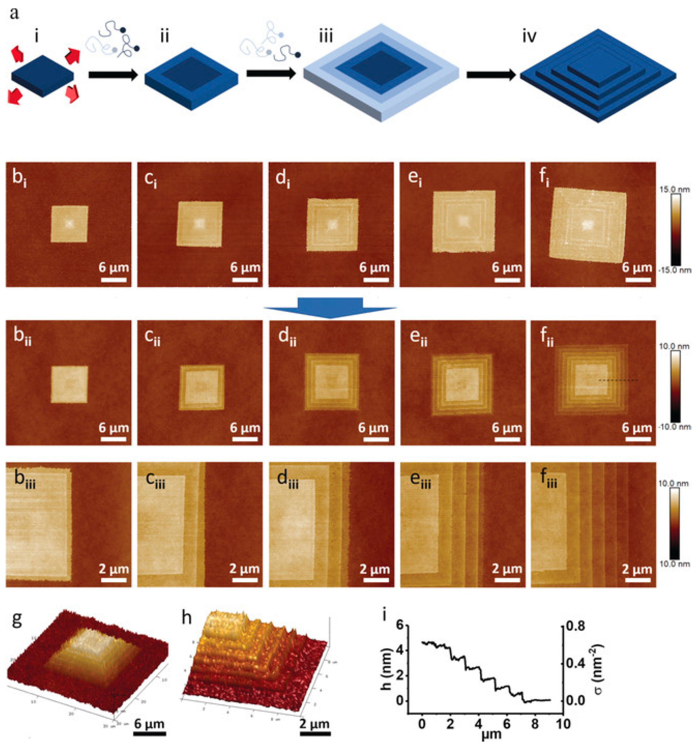 Crystals 14 00207 g015