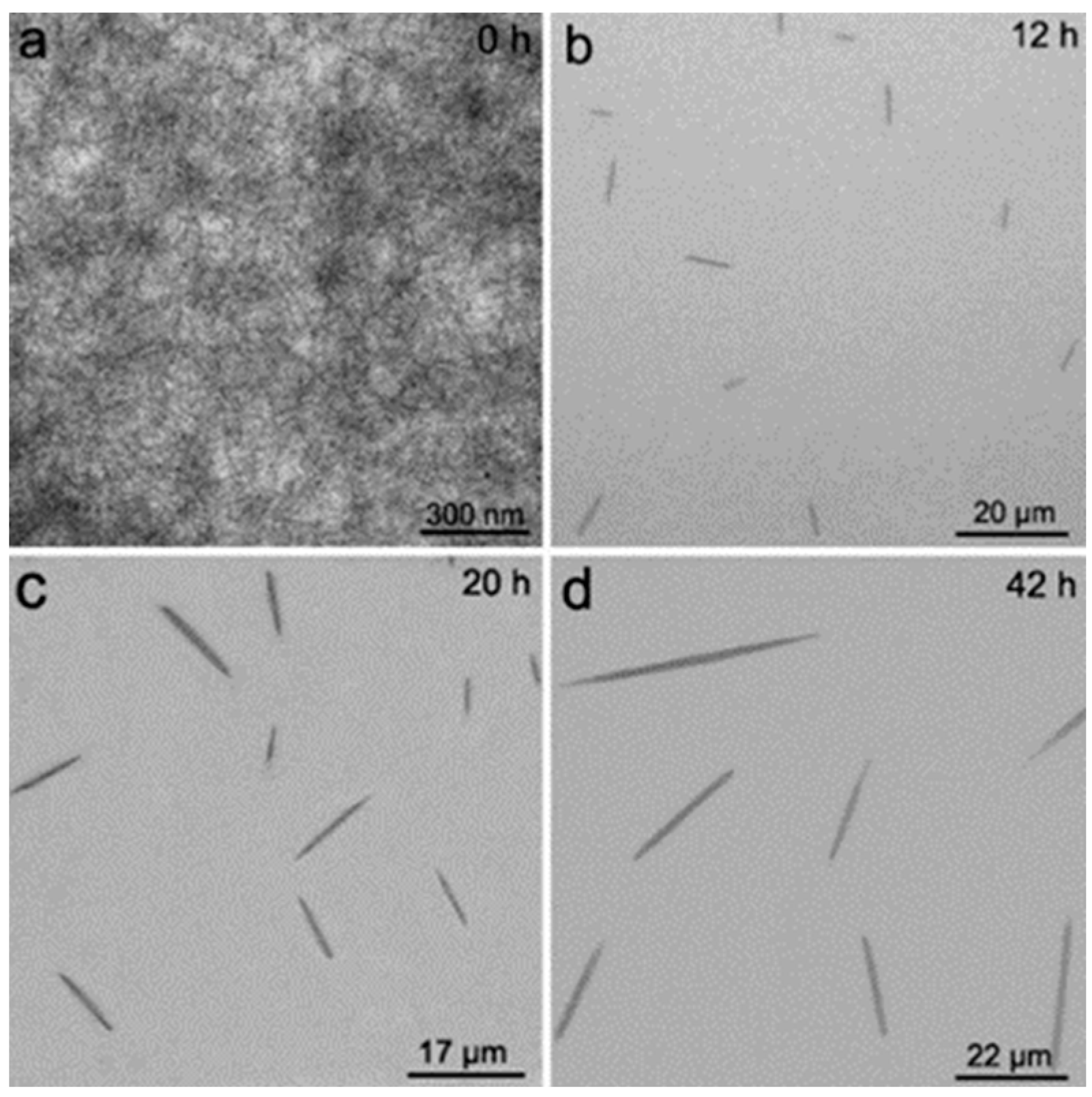 Crystals 14 00207 g017