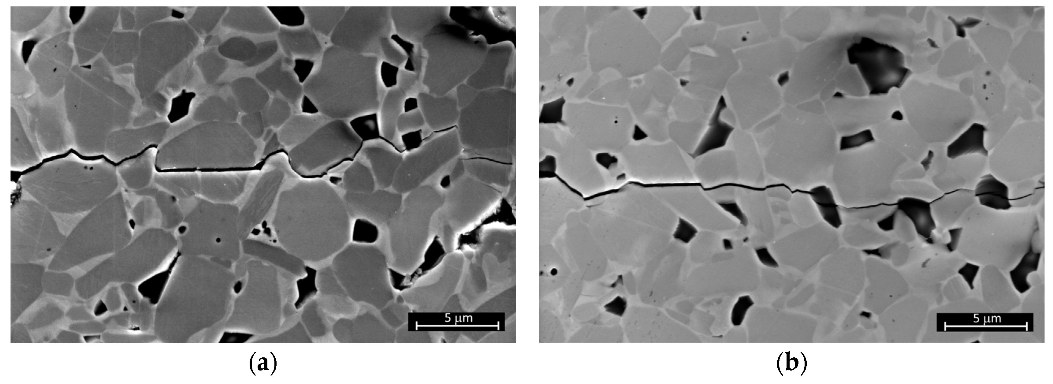 Crystals 14 00212 g014a