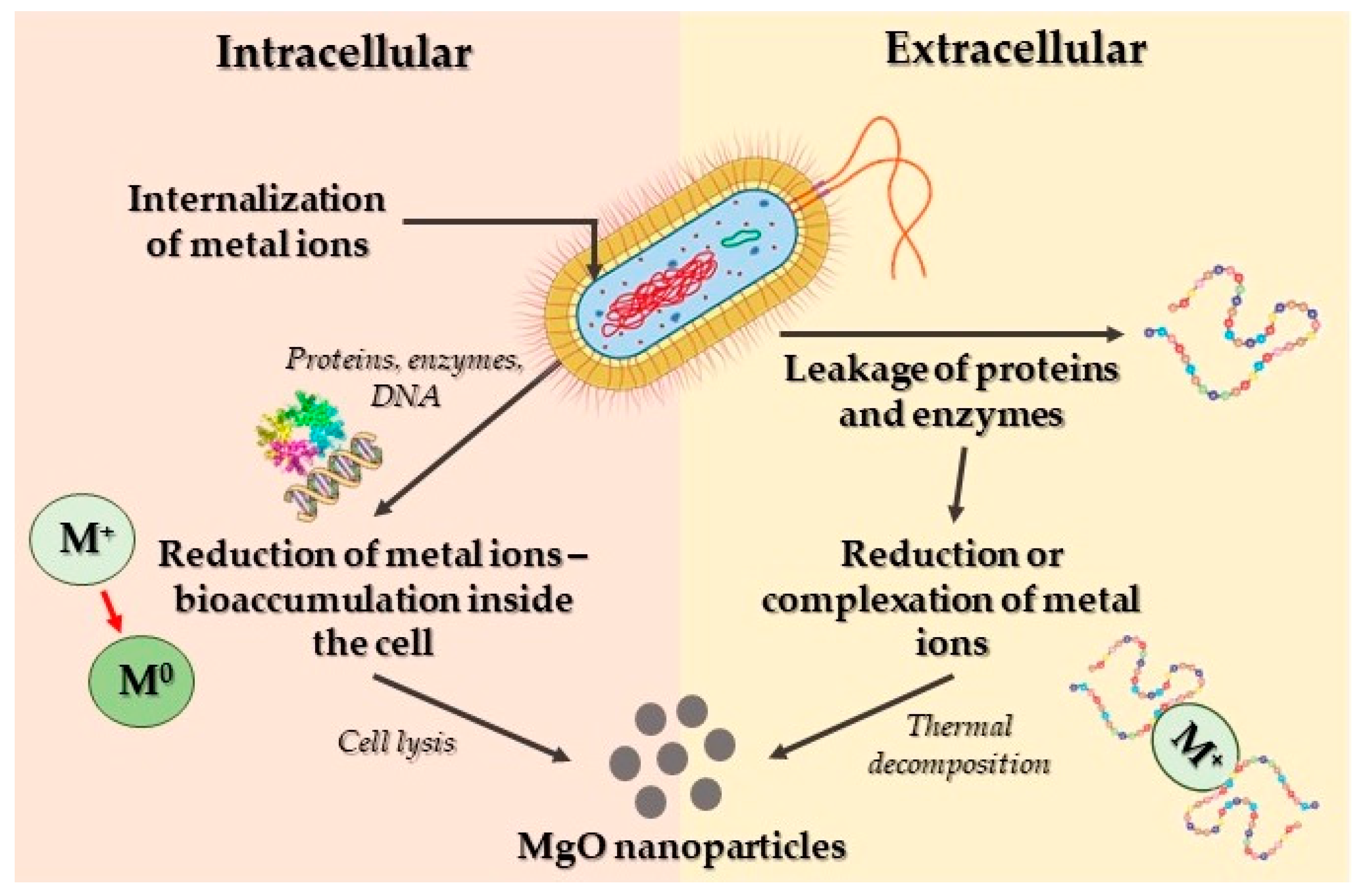 Crystals 14 00215 g007
