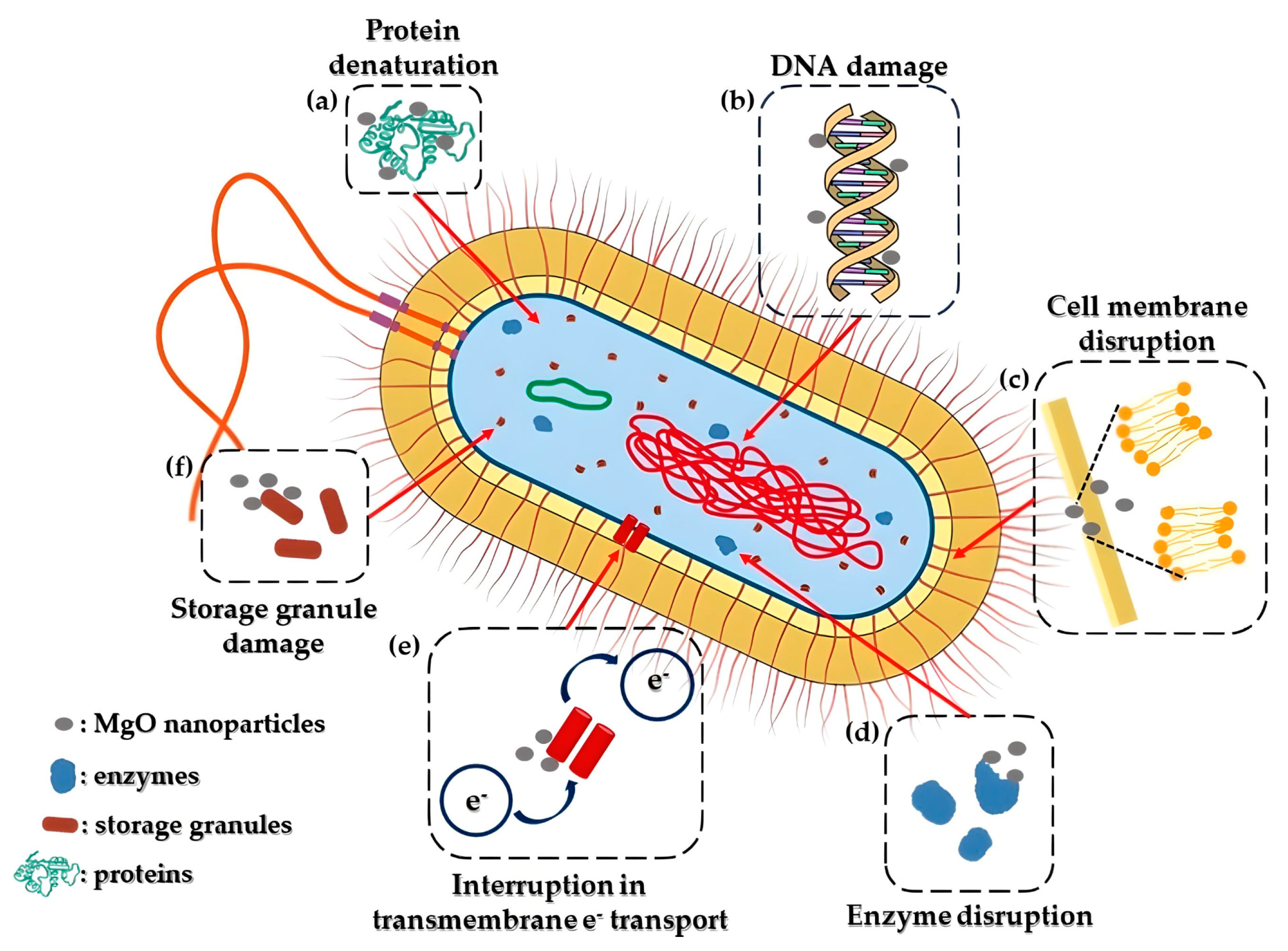 Crystals 14 00215 g009