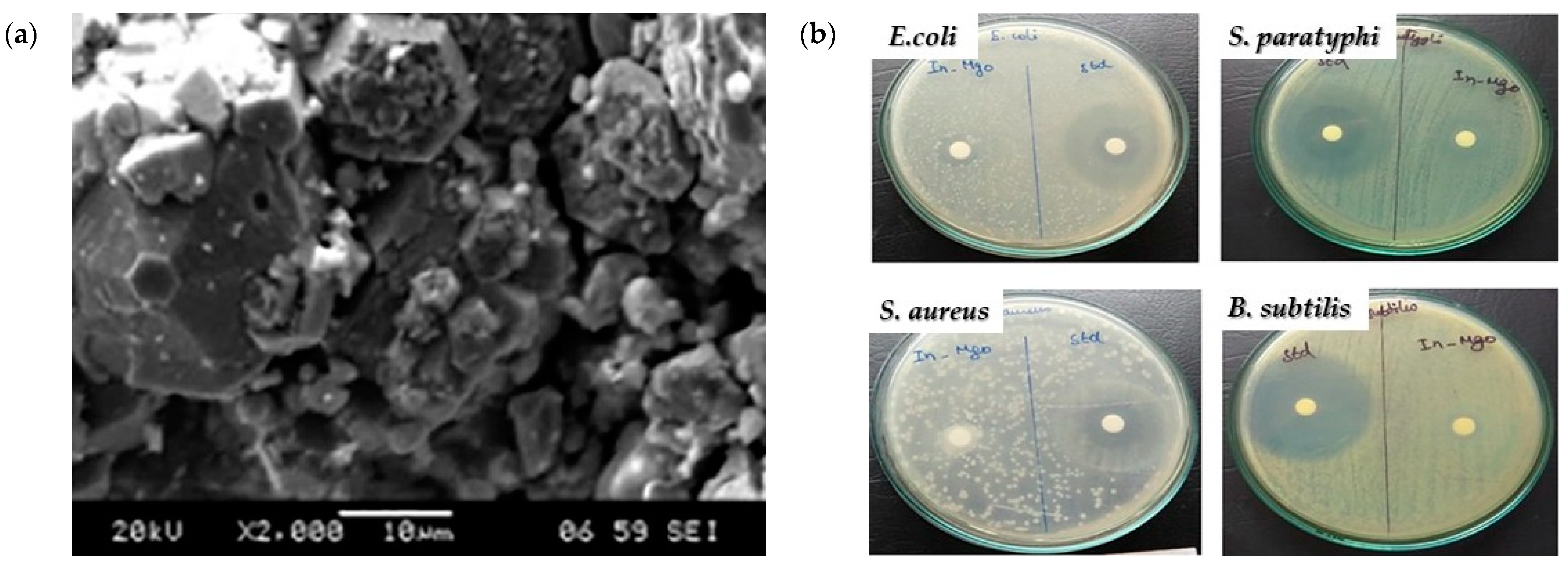 Crystals 14 00215 g010