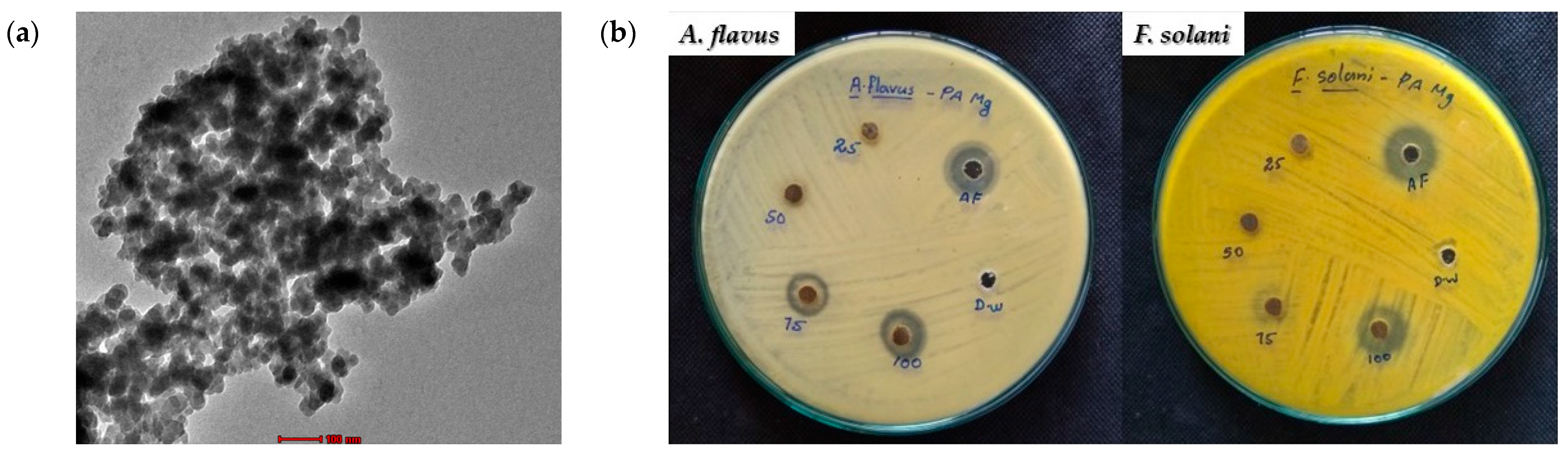 Crystals 14 00215 g012