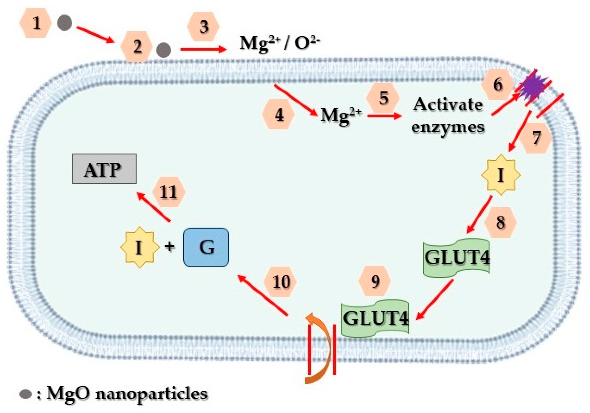 Crystals 14 00215 g015