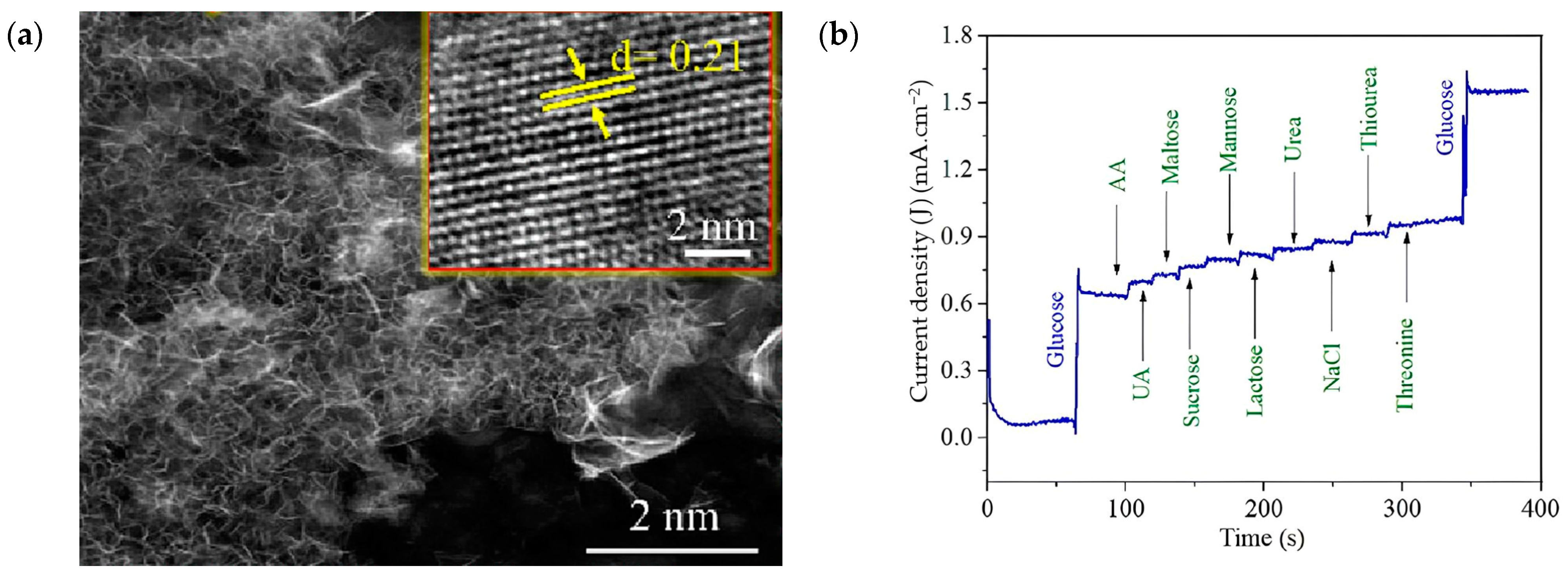 Crystals 14 00215 g016