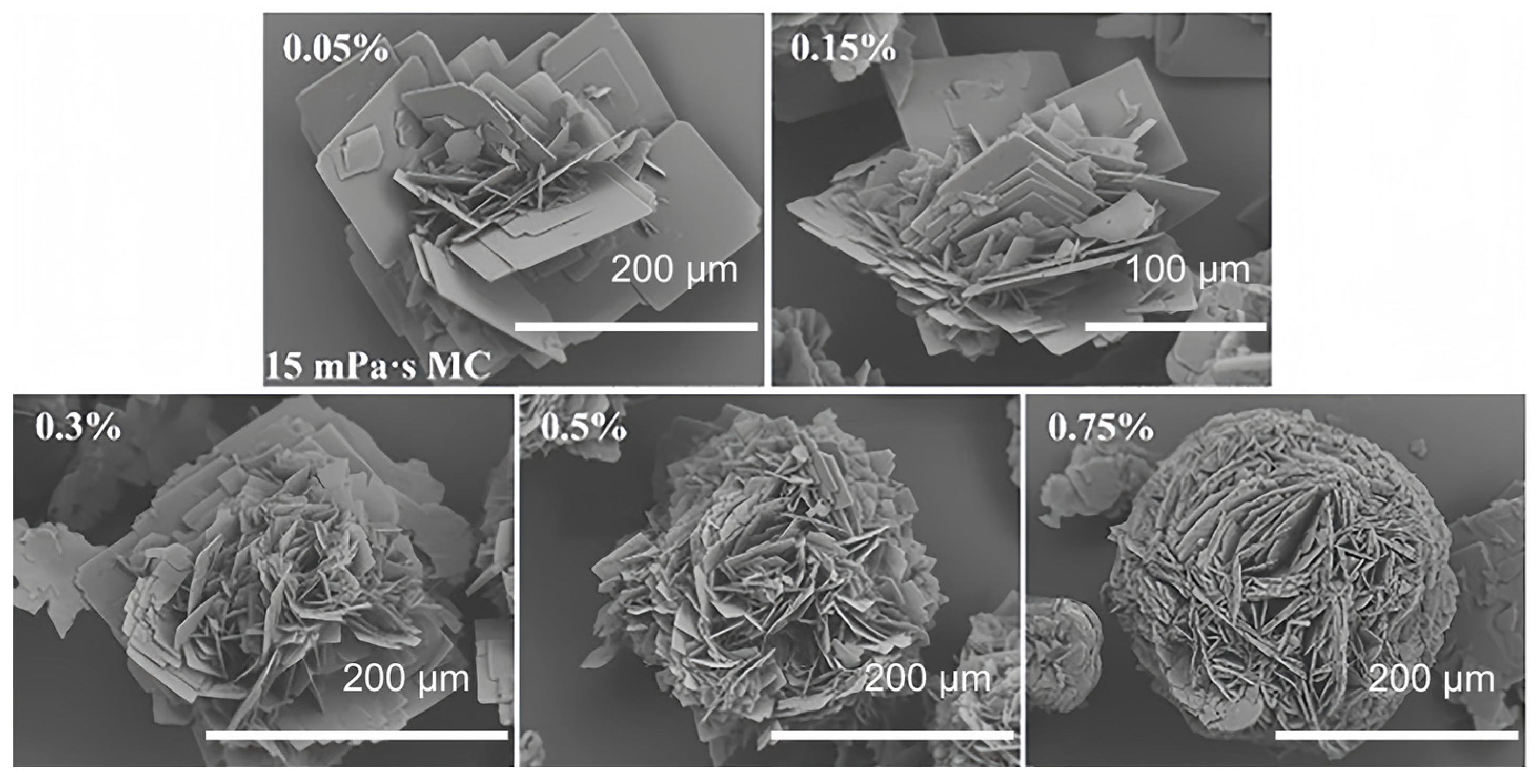 Crystals 14 00219 g008