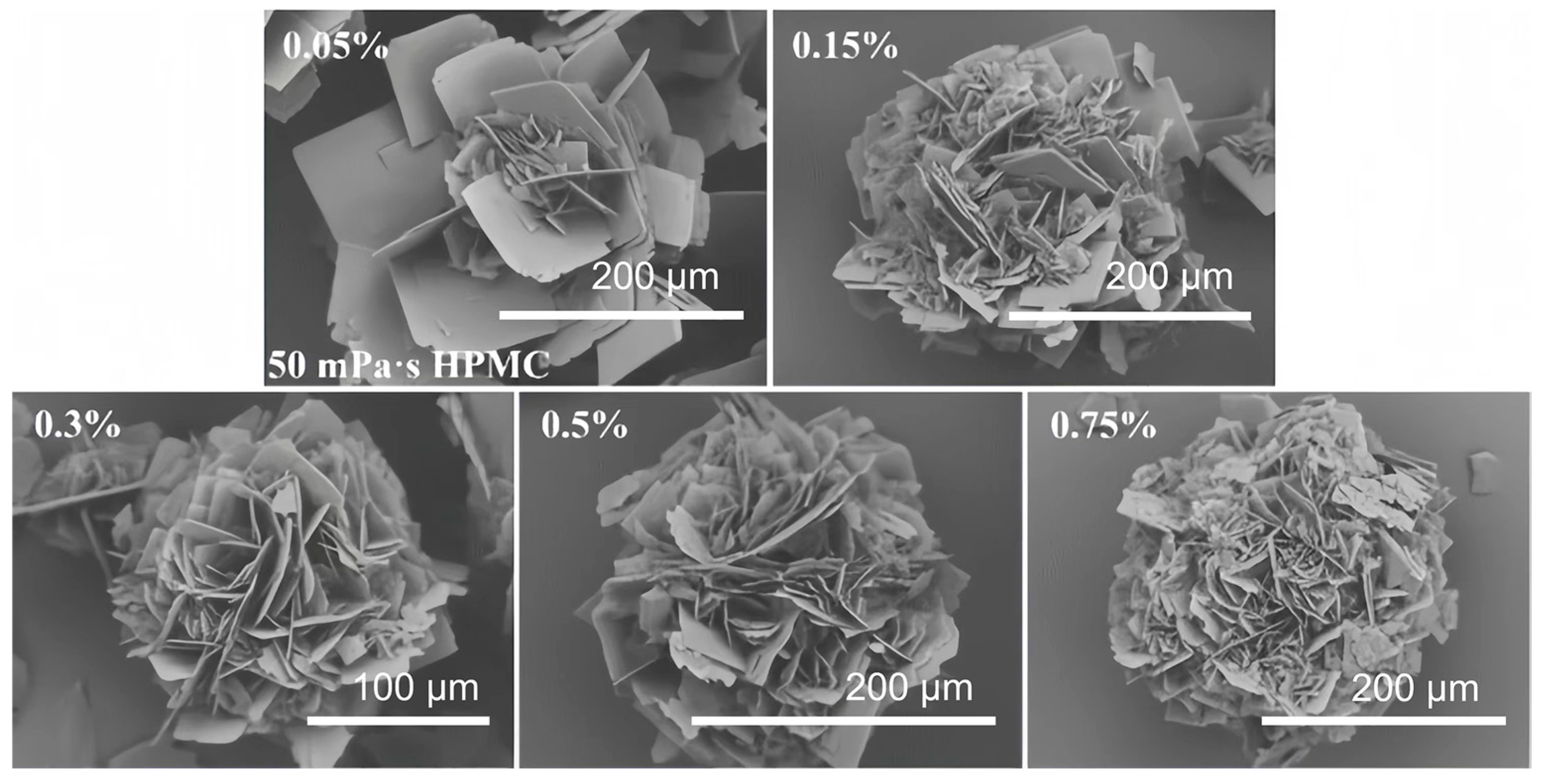 Crystals 14 00219 g009