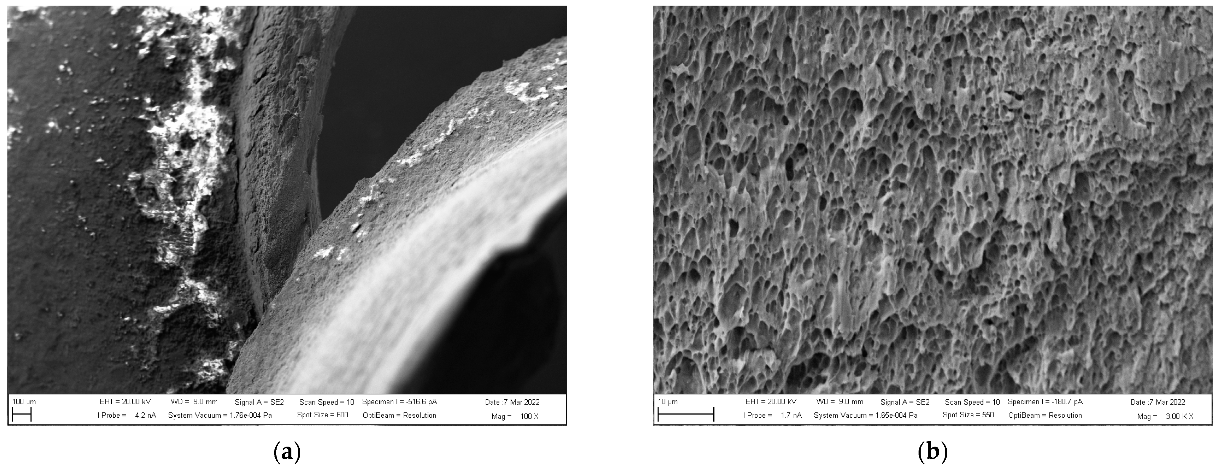 Crystals 14 00220 g015