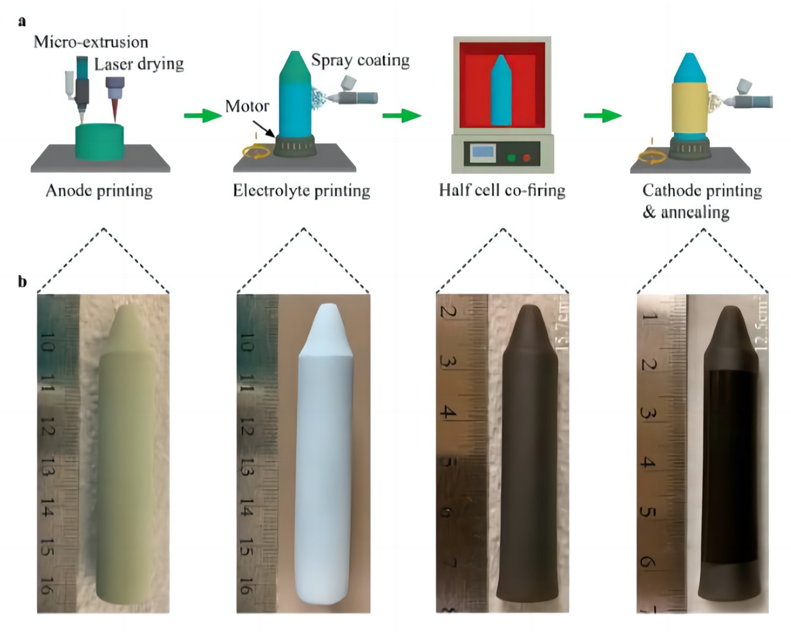 Crystals 14 00225 g008