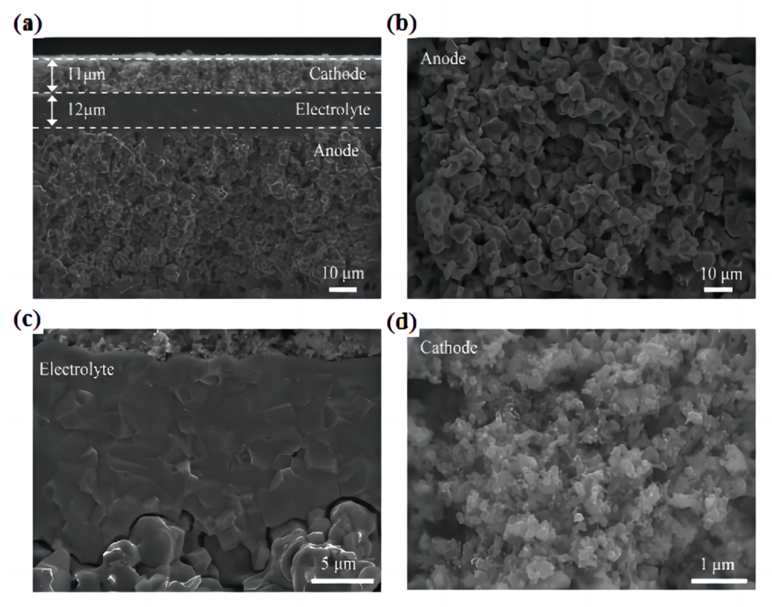 Crystals 14 00225 g014