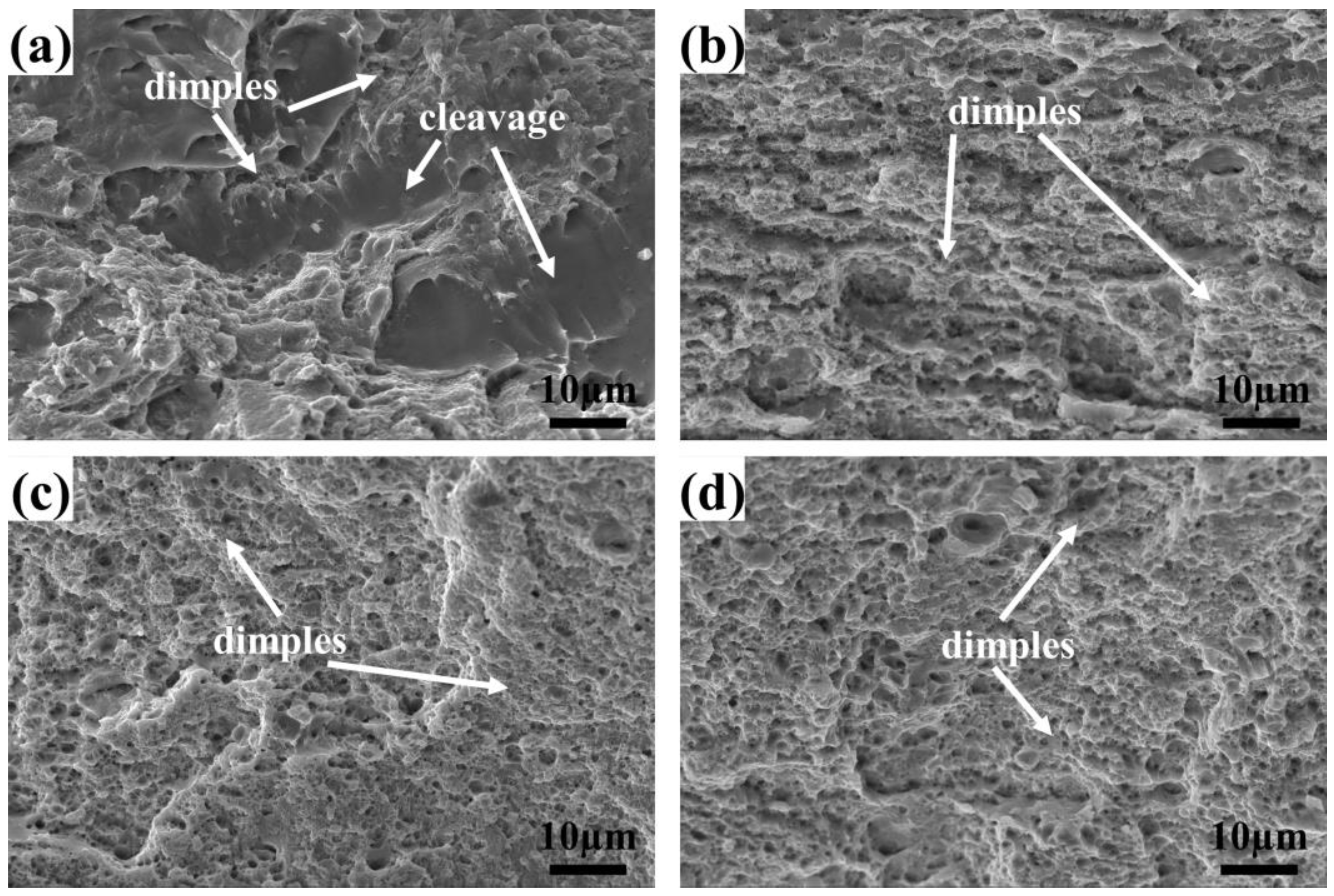 Crystals 14 00229 g015
