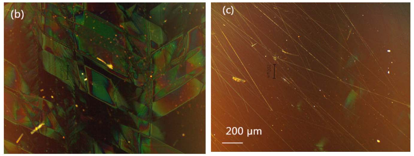 Crystals 14 00236 g007b