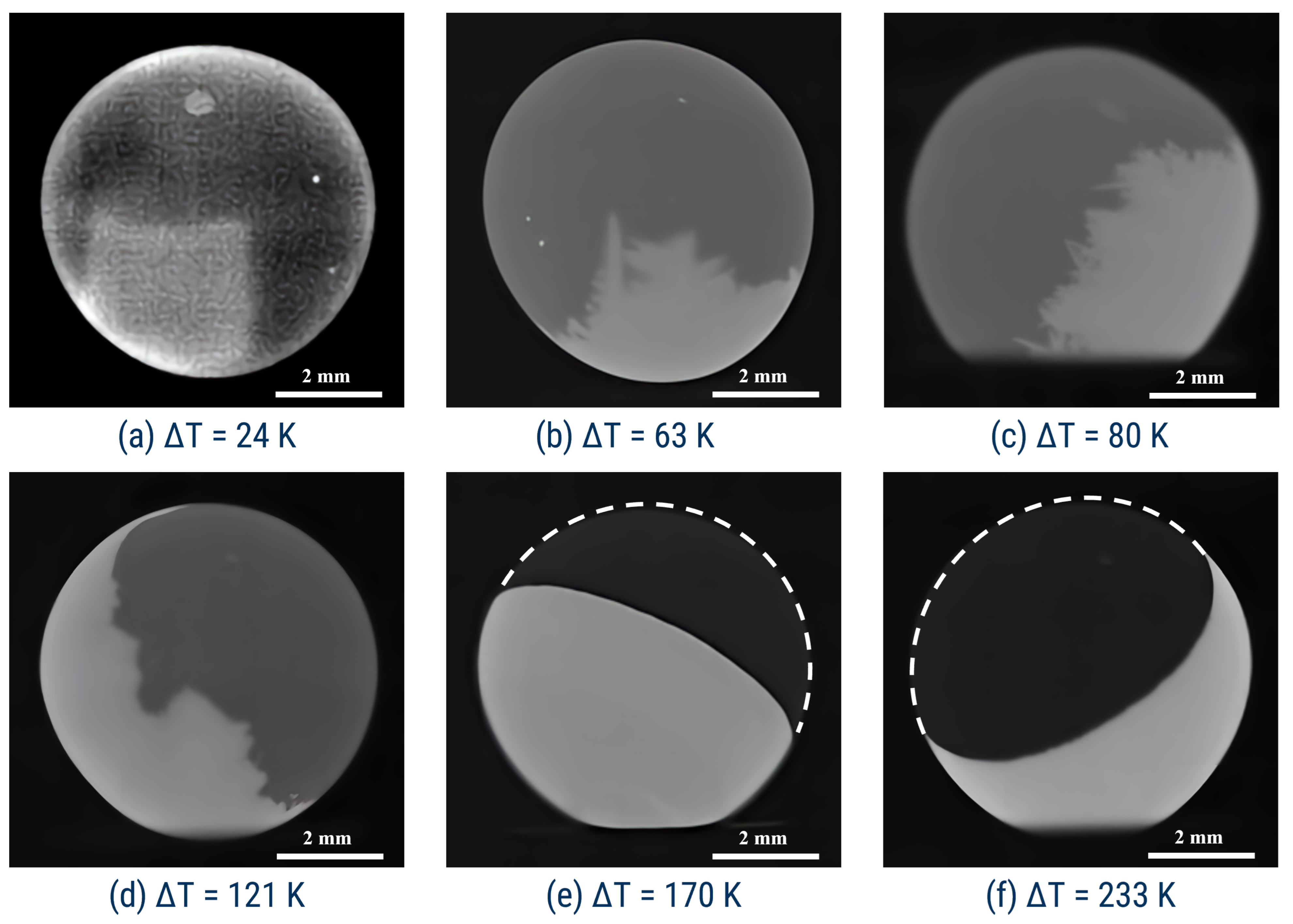 Crystals 14 00244 g003 Crystals 14 00244 g003