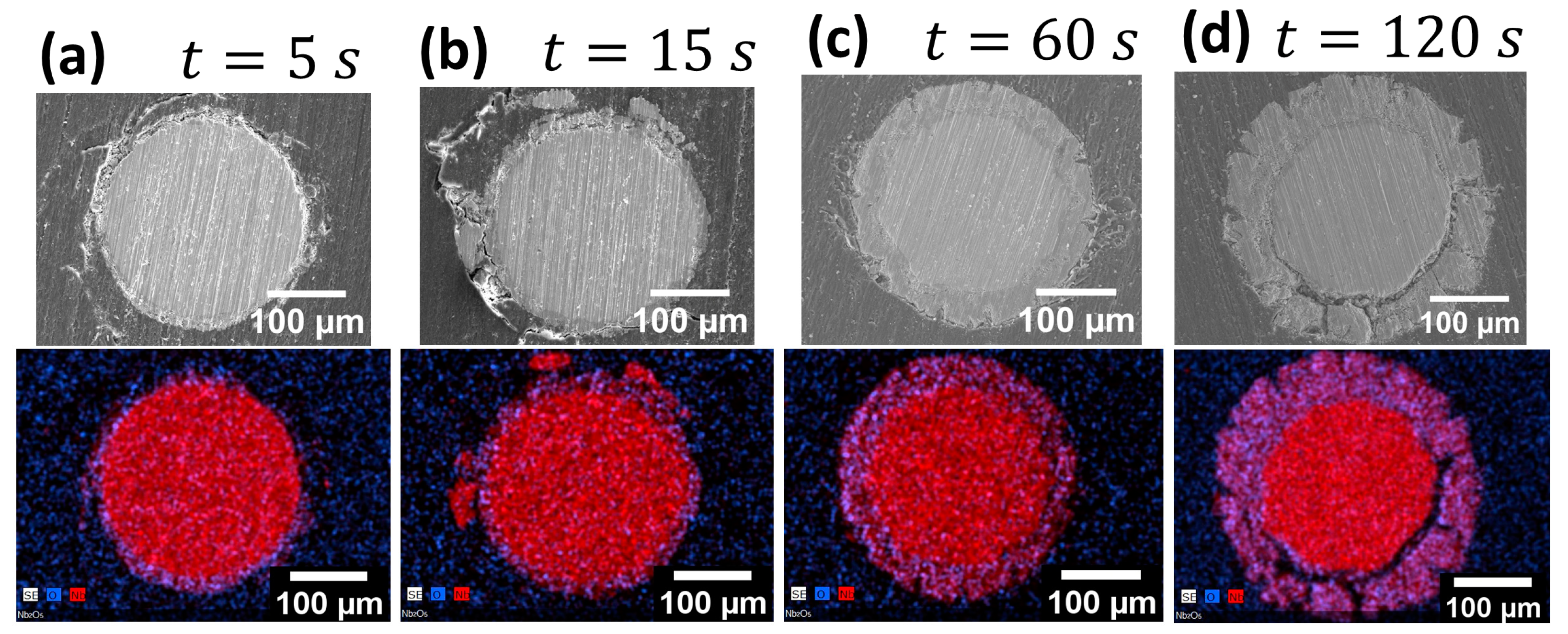 Crystals 14 00245 g007