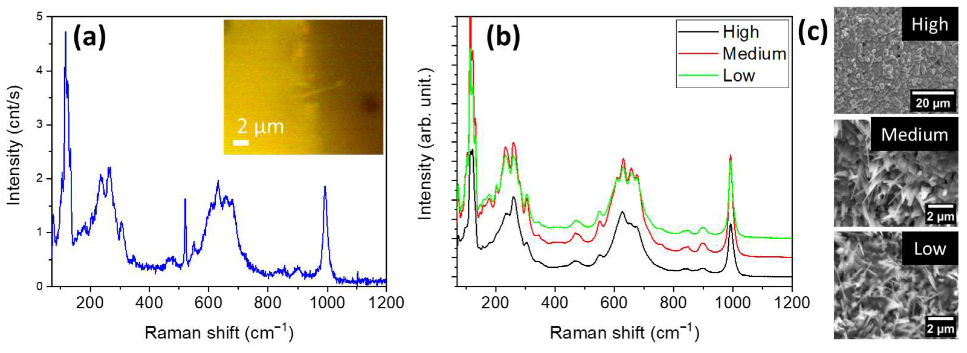 Crystals 14 00245 g010
