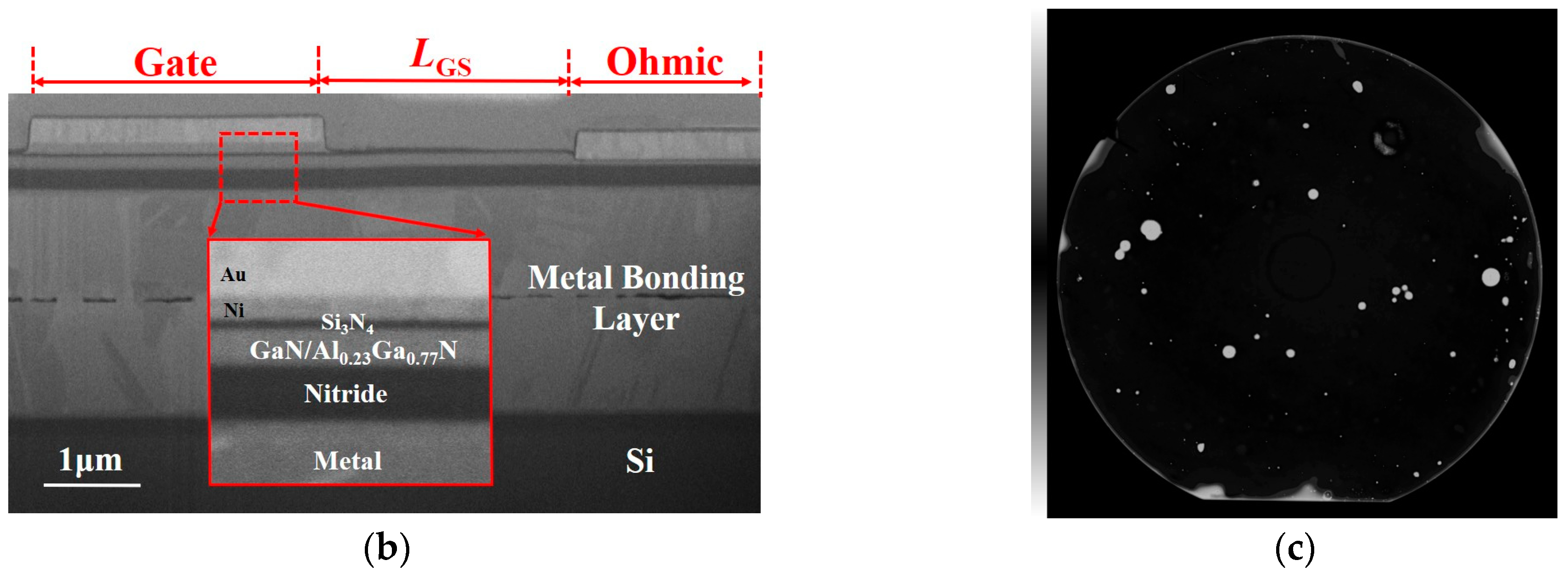 Crystals 14 00253 g002b