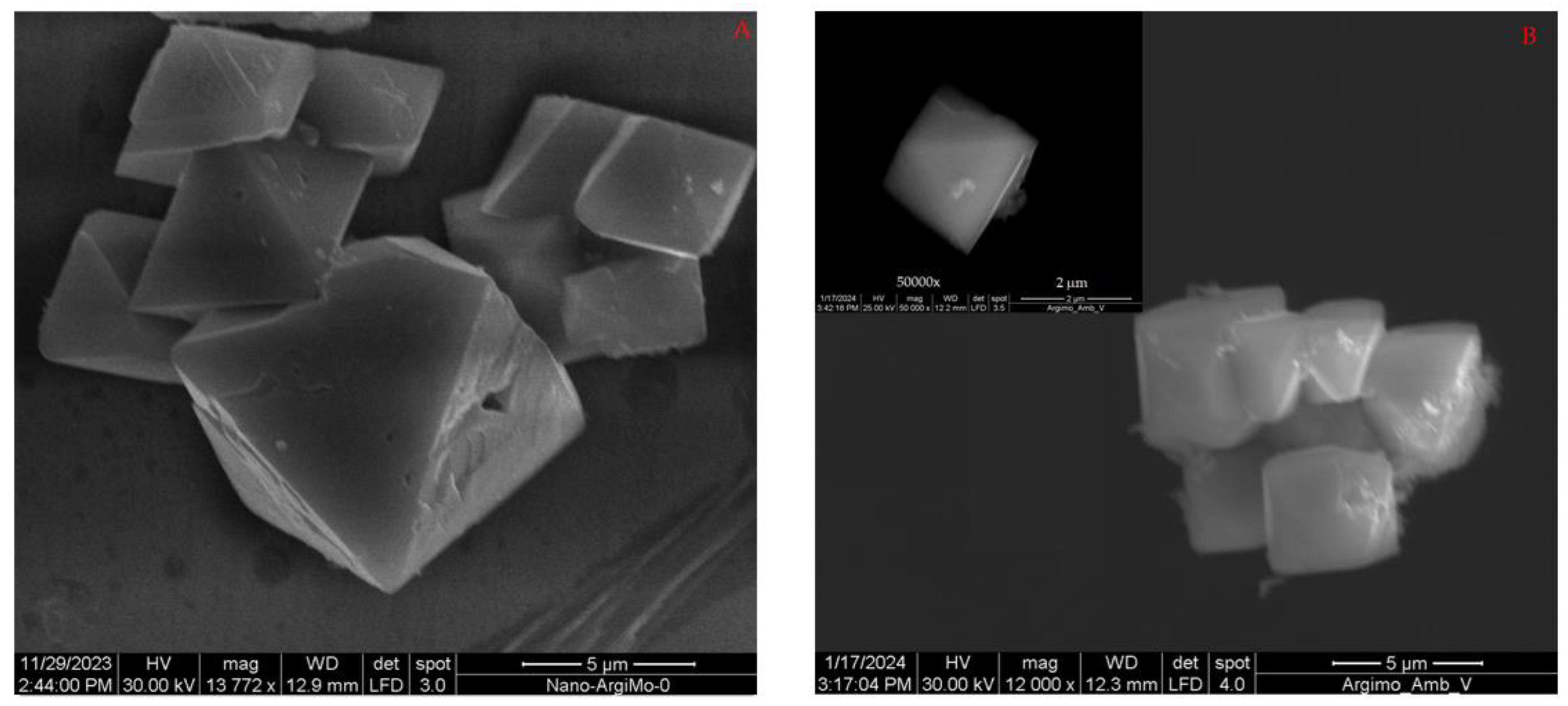 Crystals 14 00254 g004a