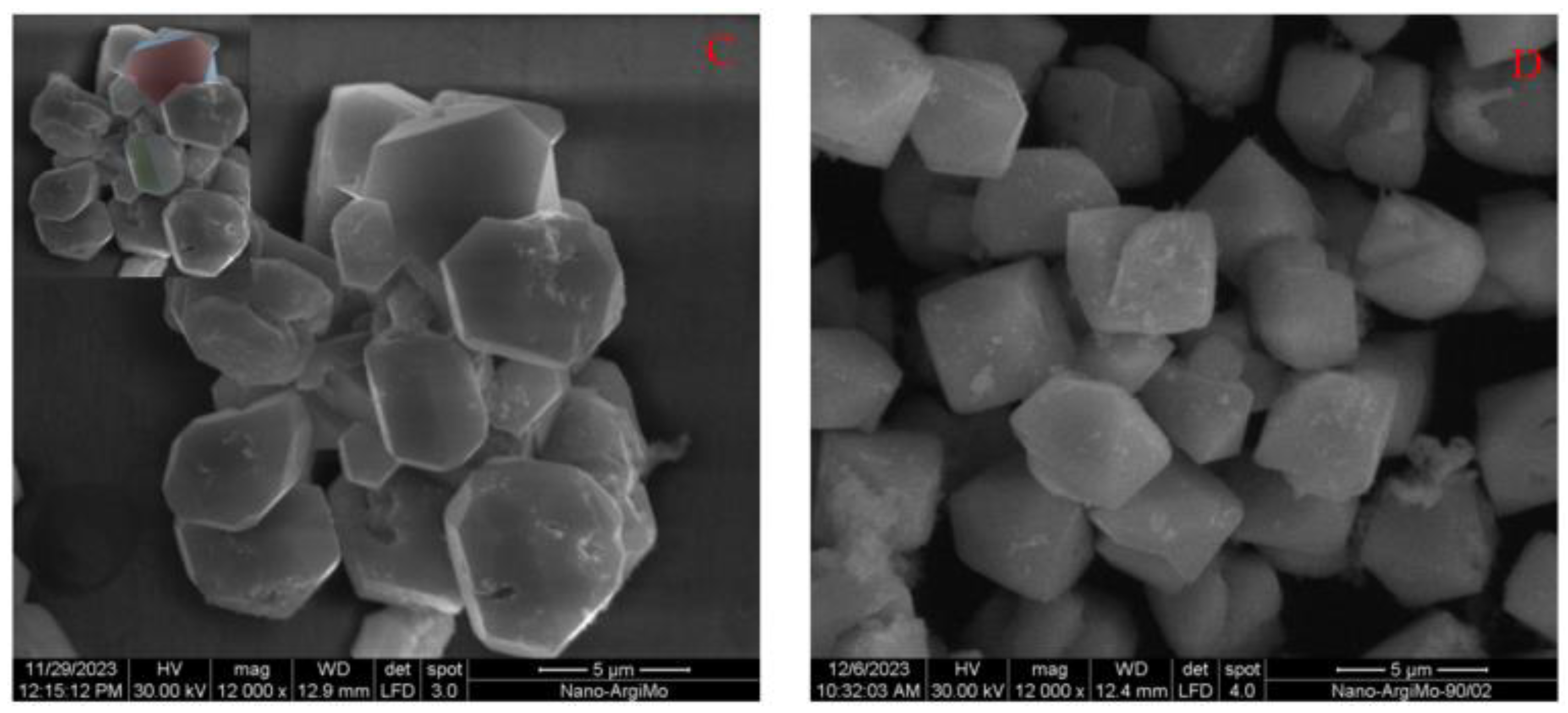 Crystals 14 00254 g004b