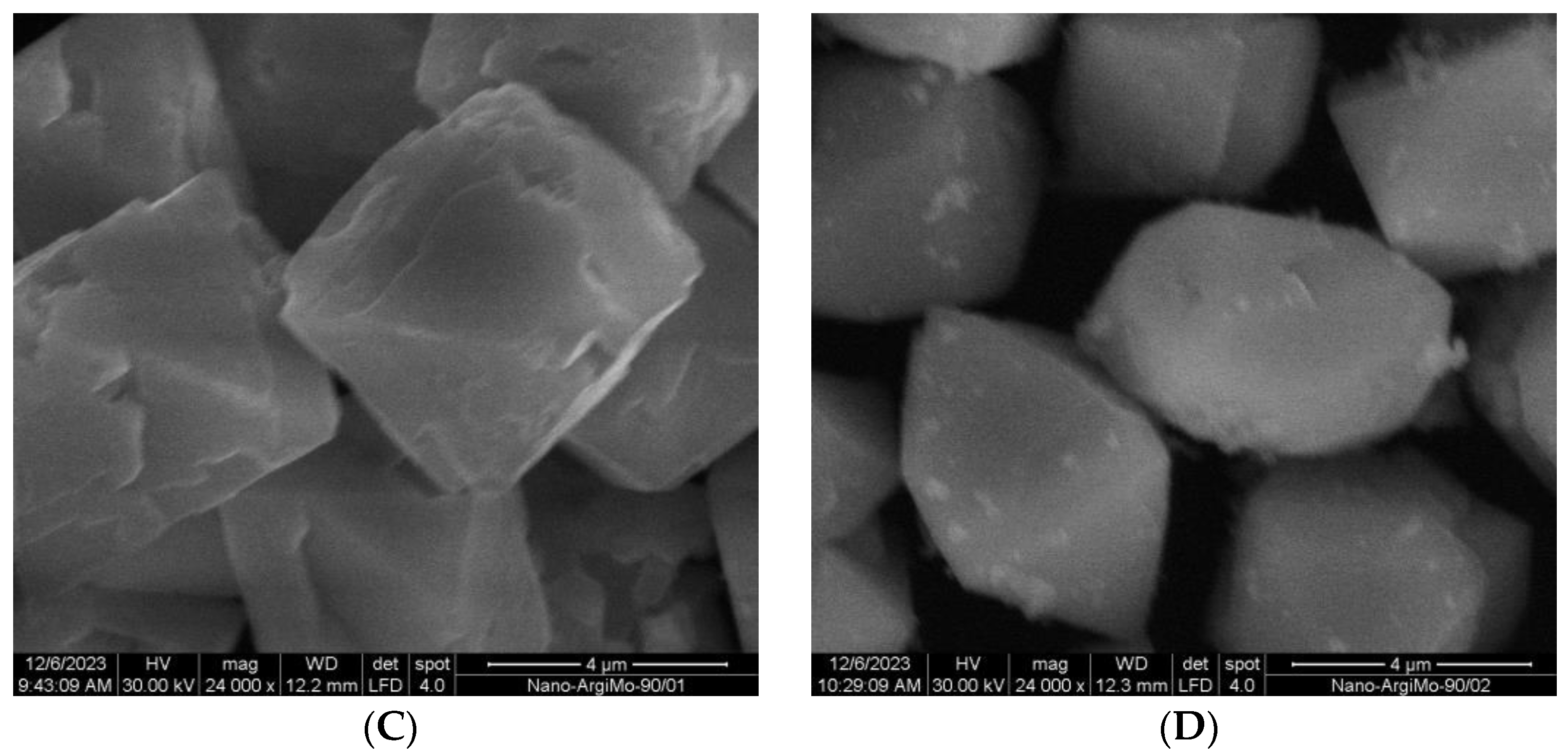 Crystals 14 00254 g006b