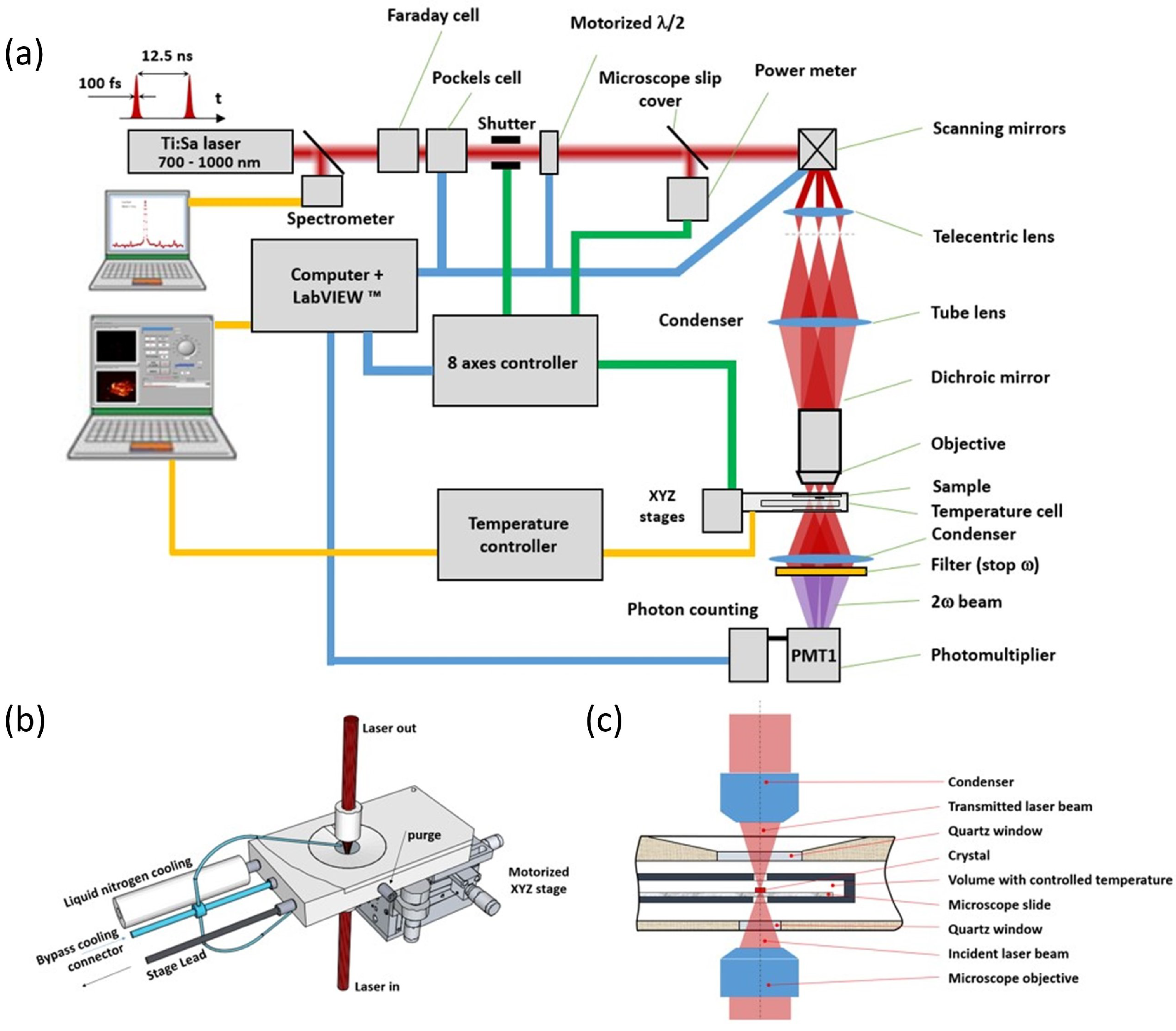 Crystals 14 00259 g002