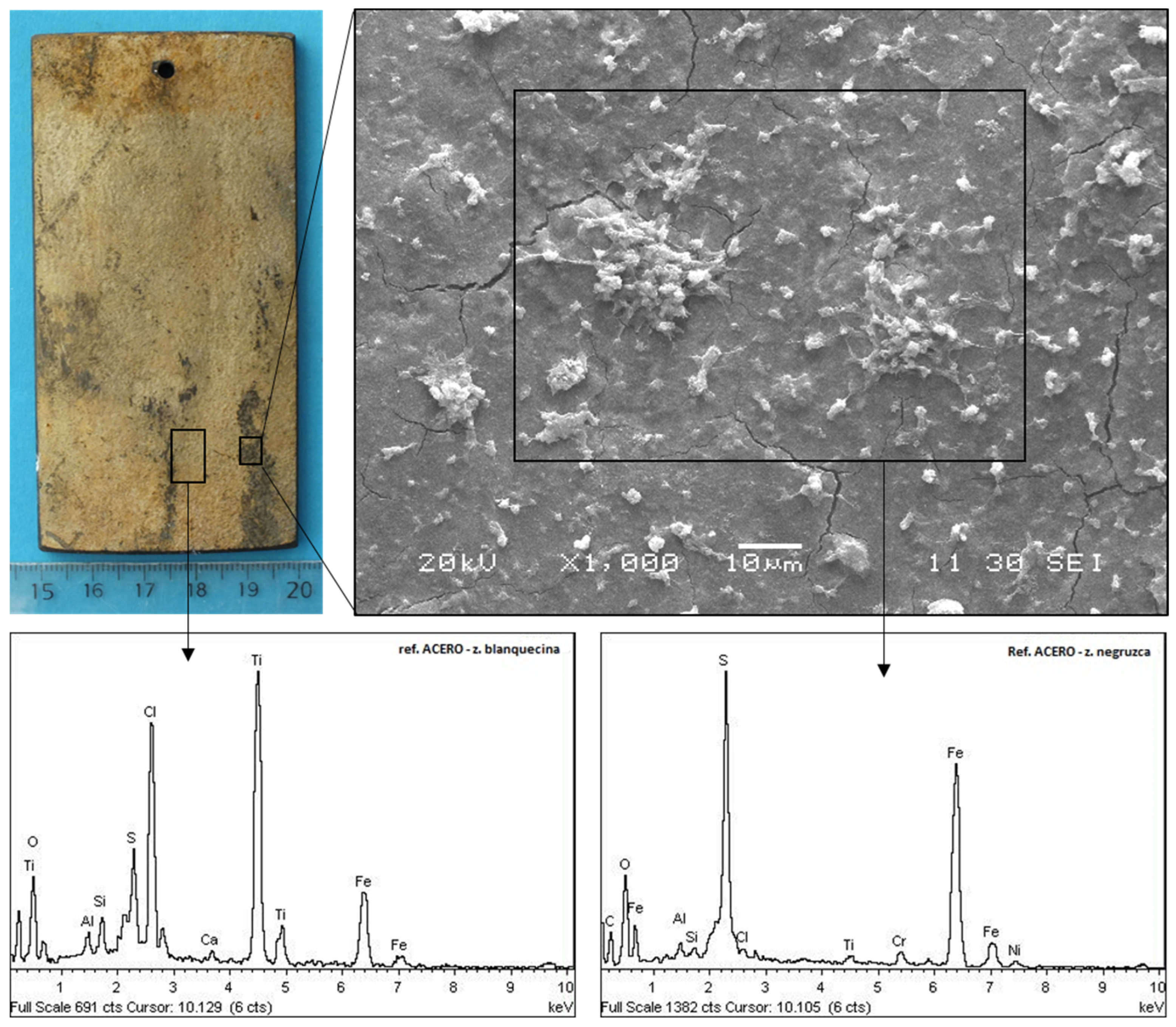 Crystals 14 00260 g001