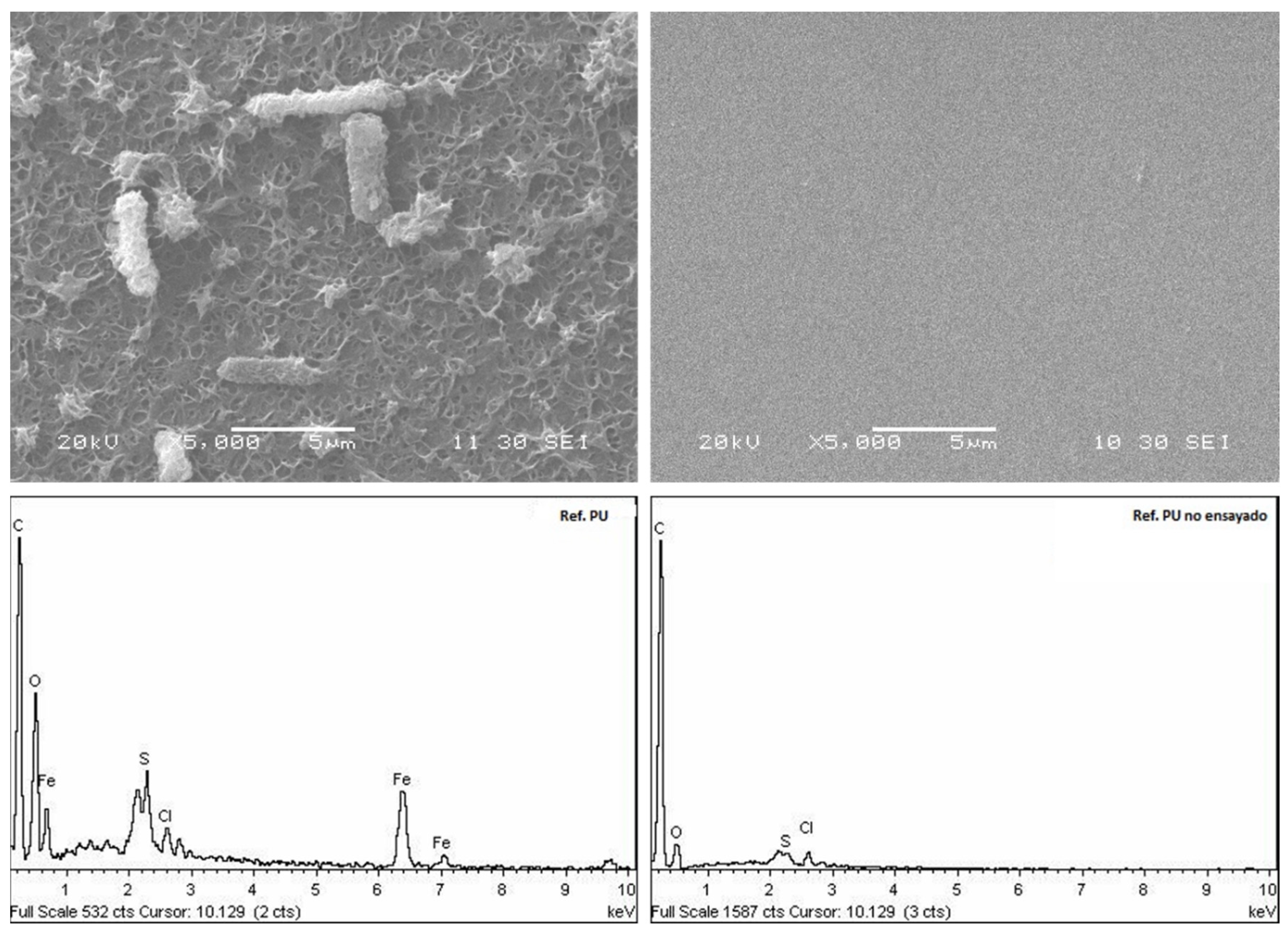 Crystals 14 00260 g007